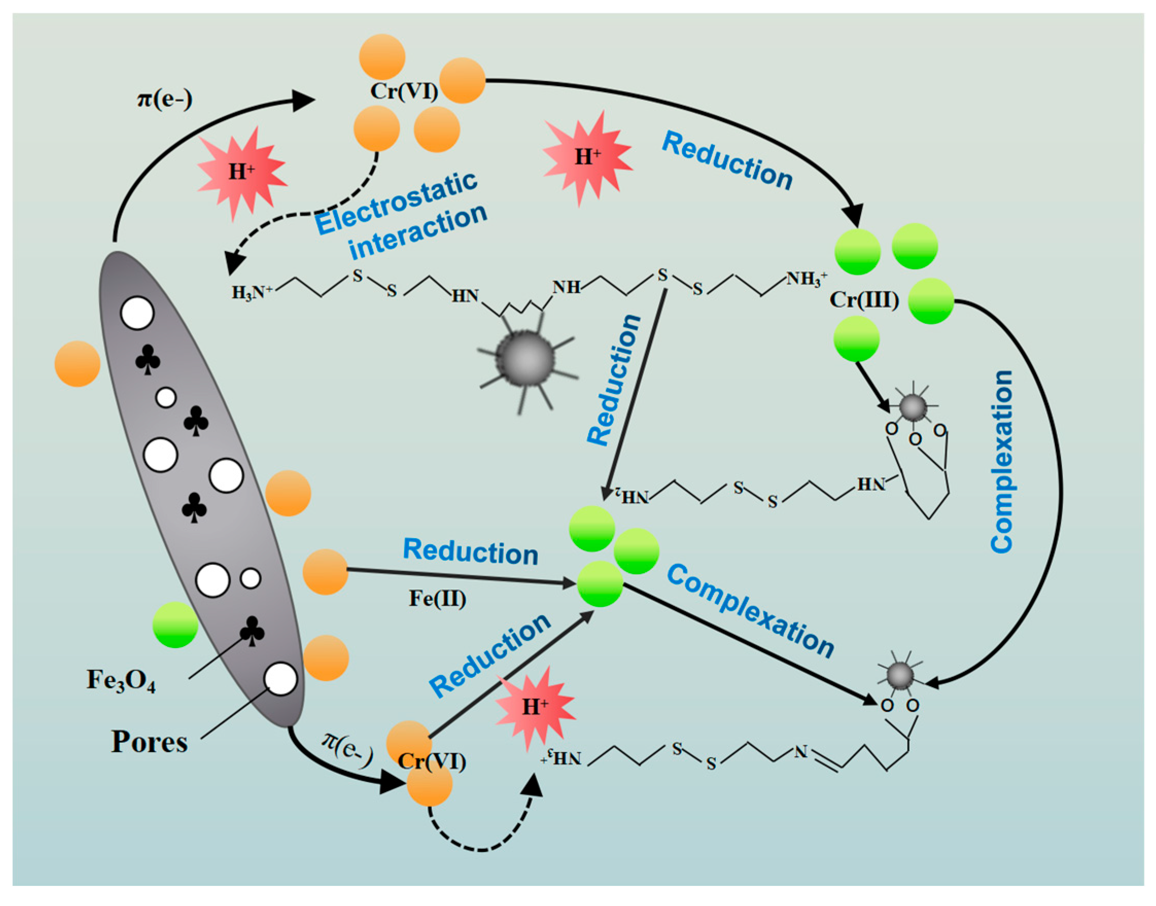 Separations 10 00358 g010 Separations 10 00358 g010