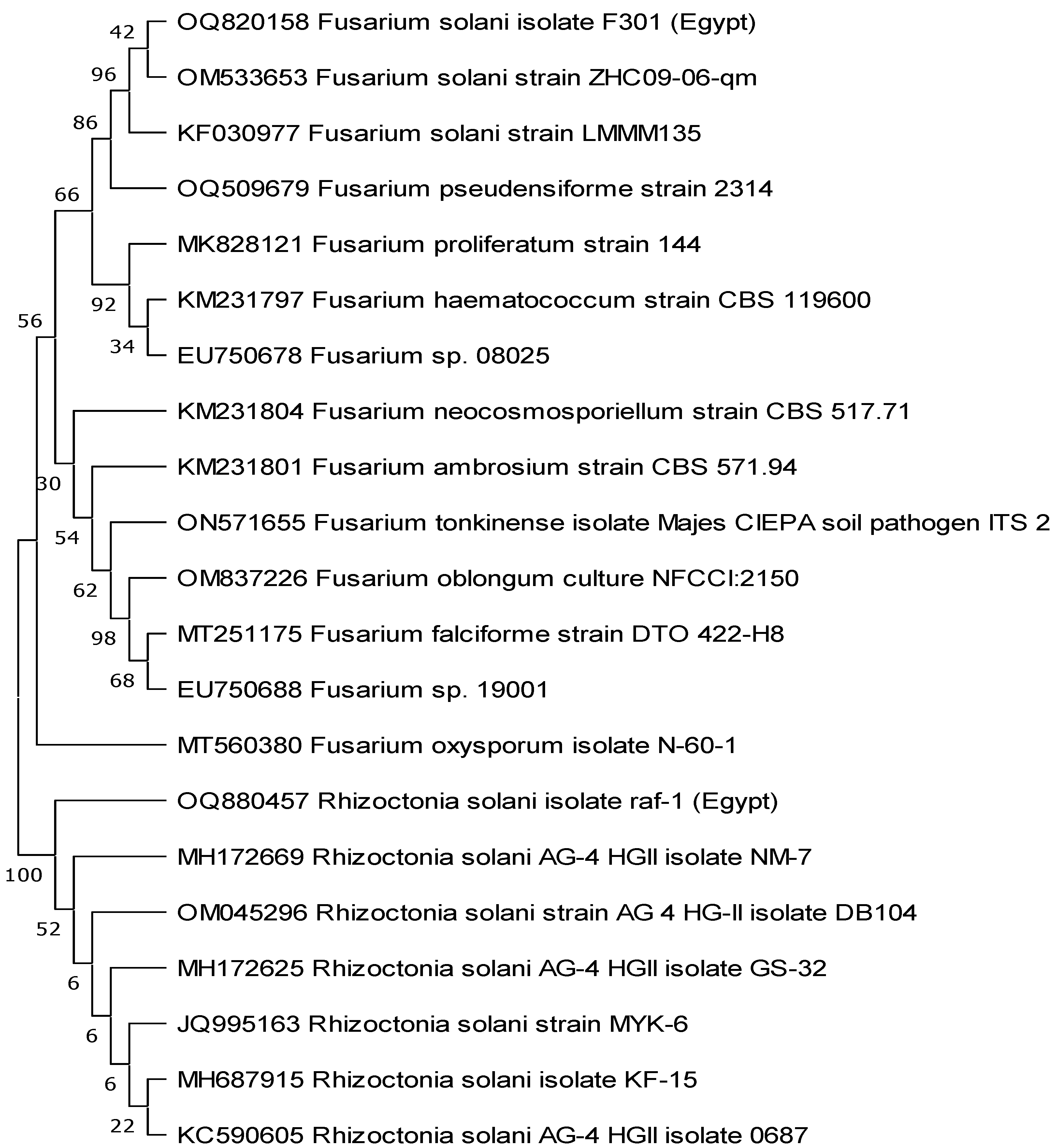 Separations 10 00369 g002 Separations 10 00369 g002