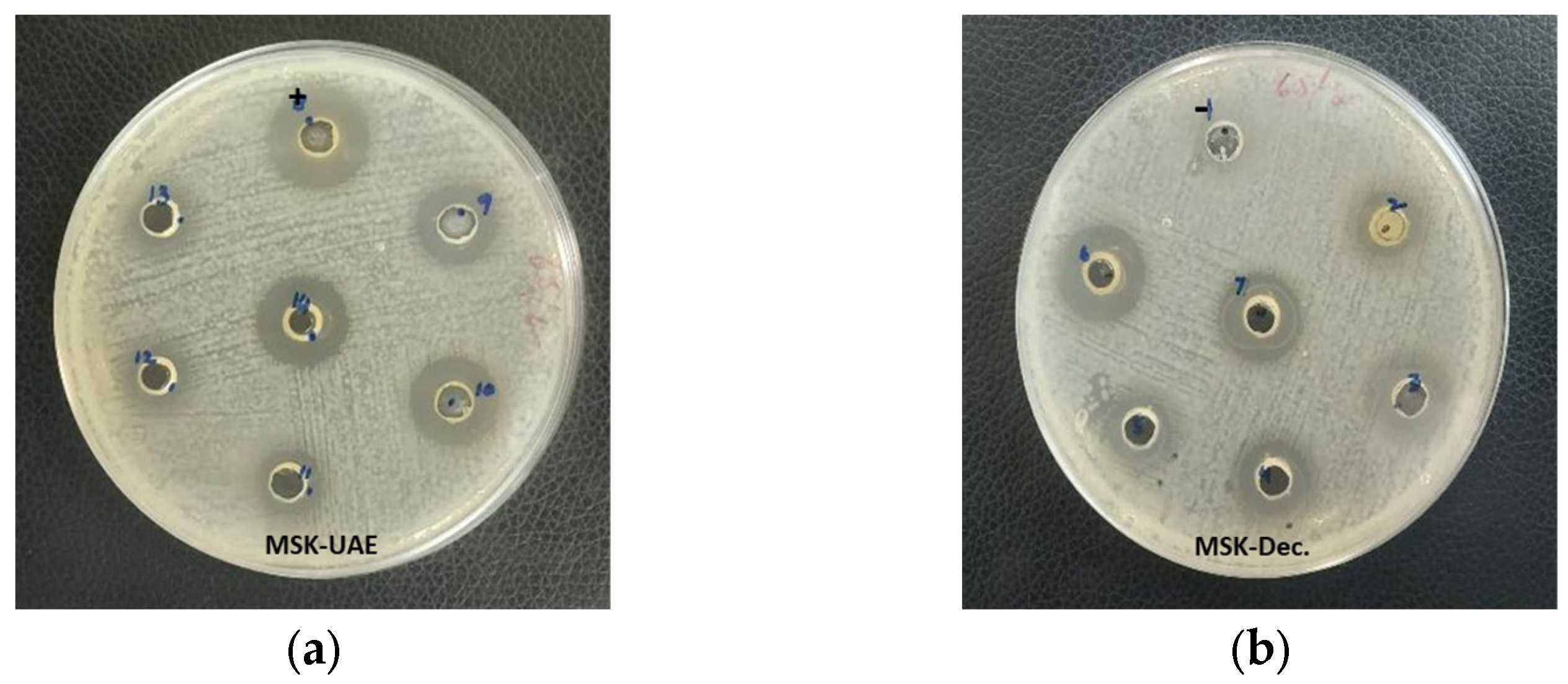 Separations 10 00376 g003 Separations 10 00376 g003