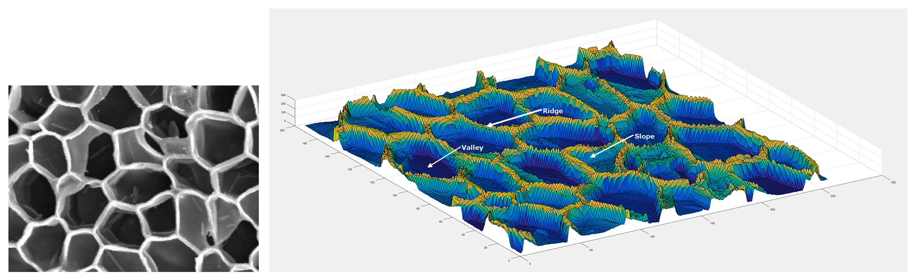 Separations 10 00390 g002 Separations 10 00390 g002