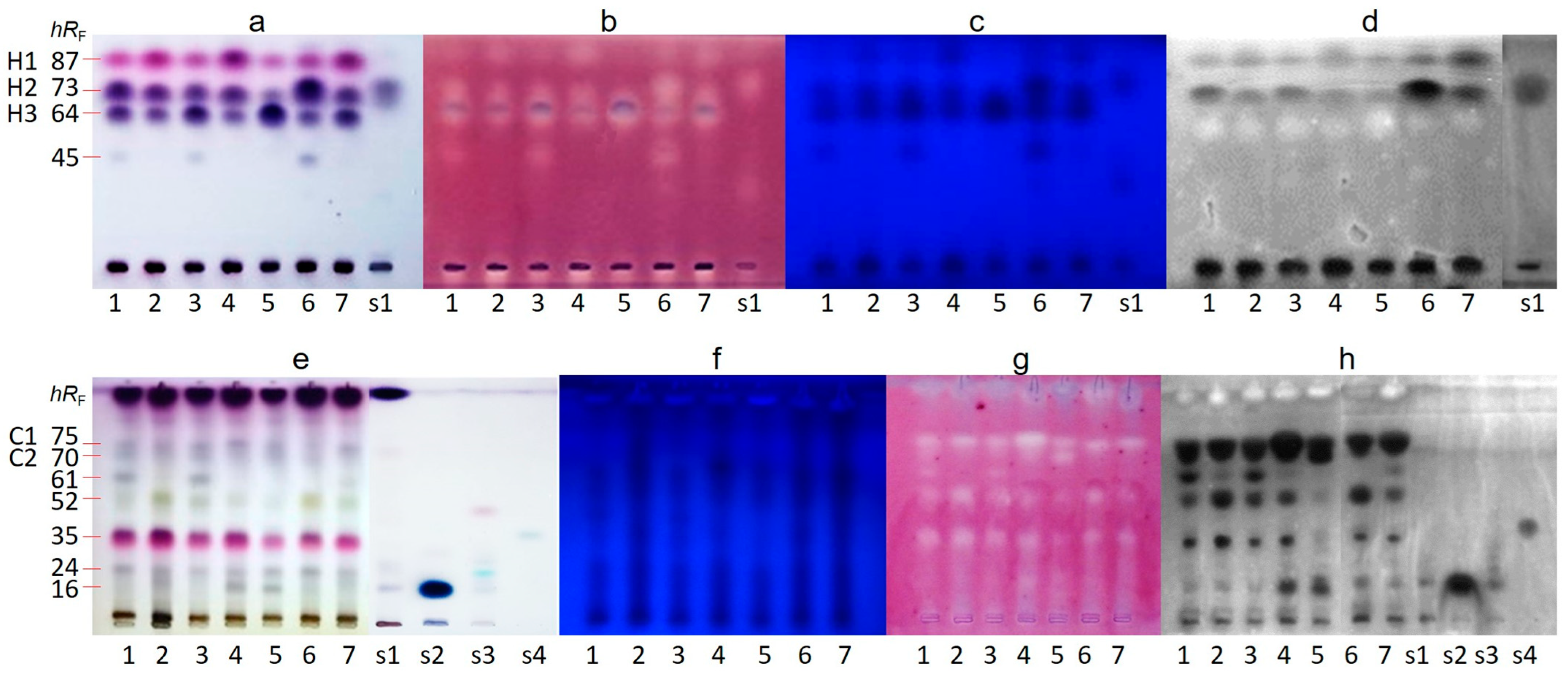 Separations 10 00402 g003