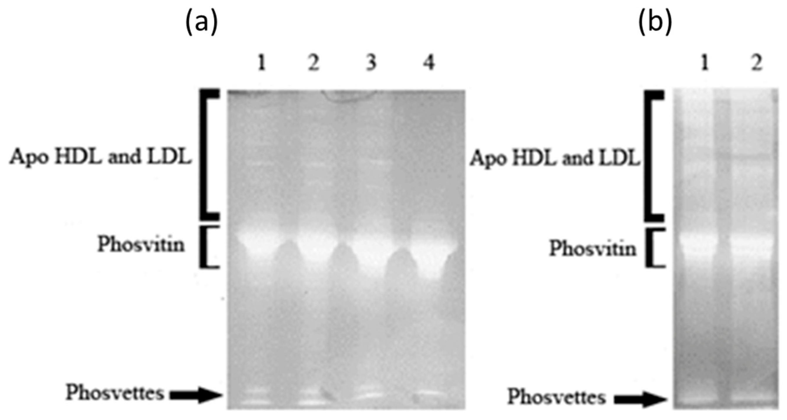 Separations 10 00407 g003 Separations 10 00407 g003