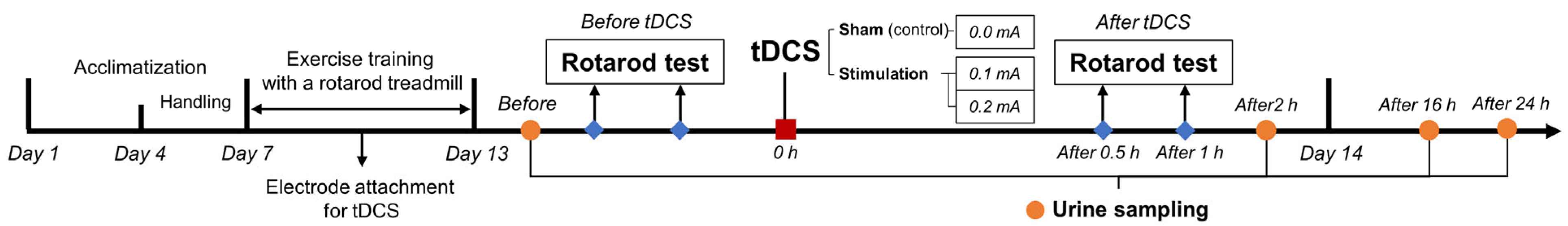 Separations 10 00413 g001
