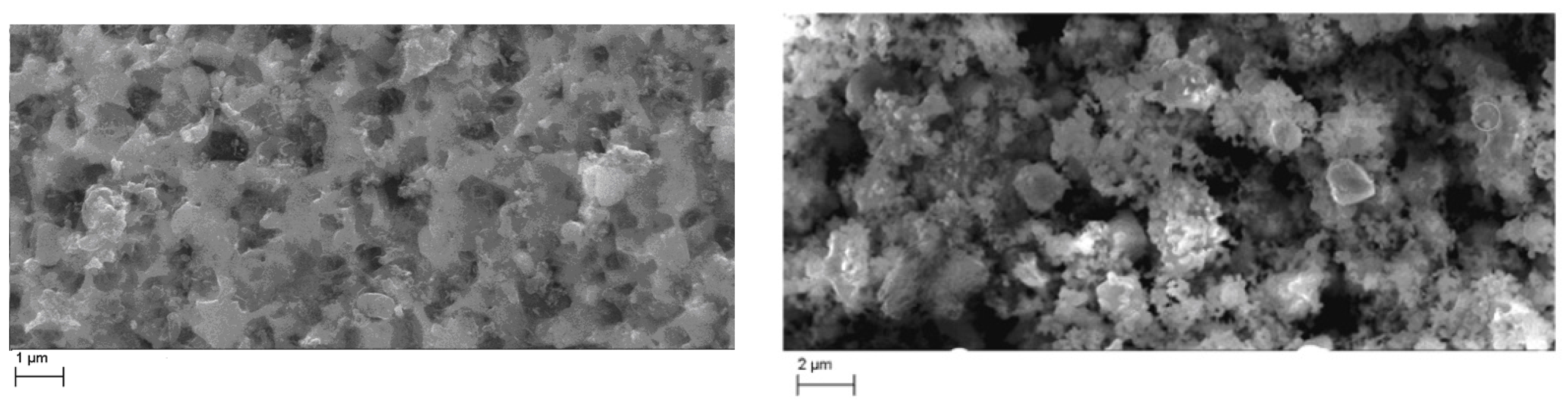 Separations 10 00416 g002