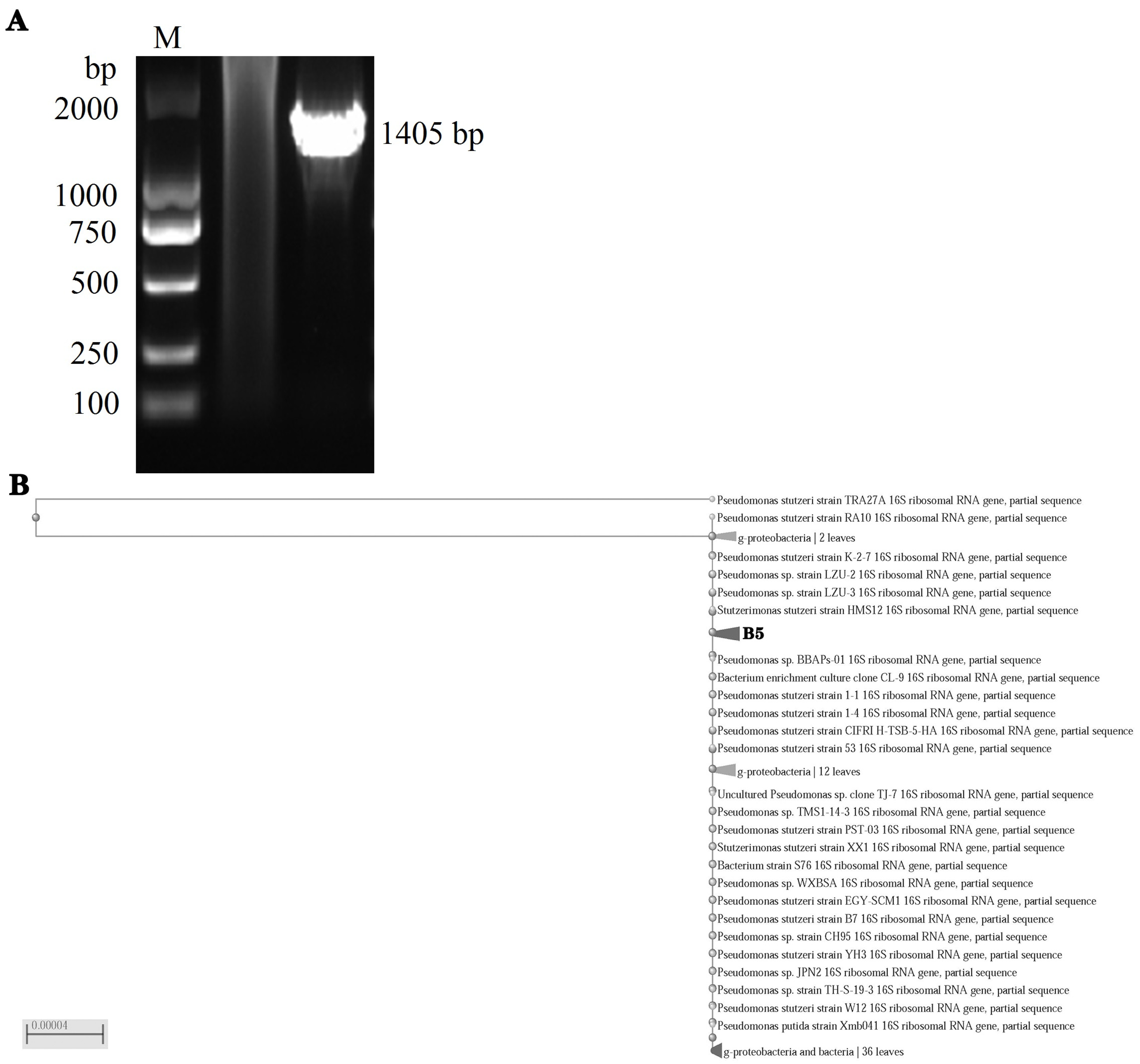 Separations 10 00461 g002