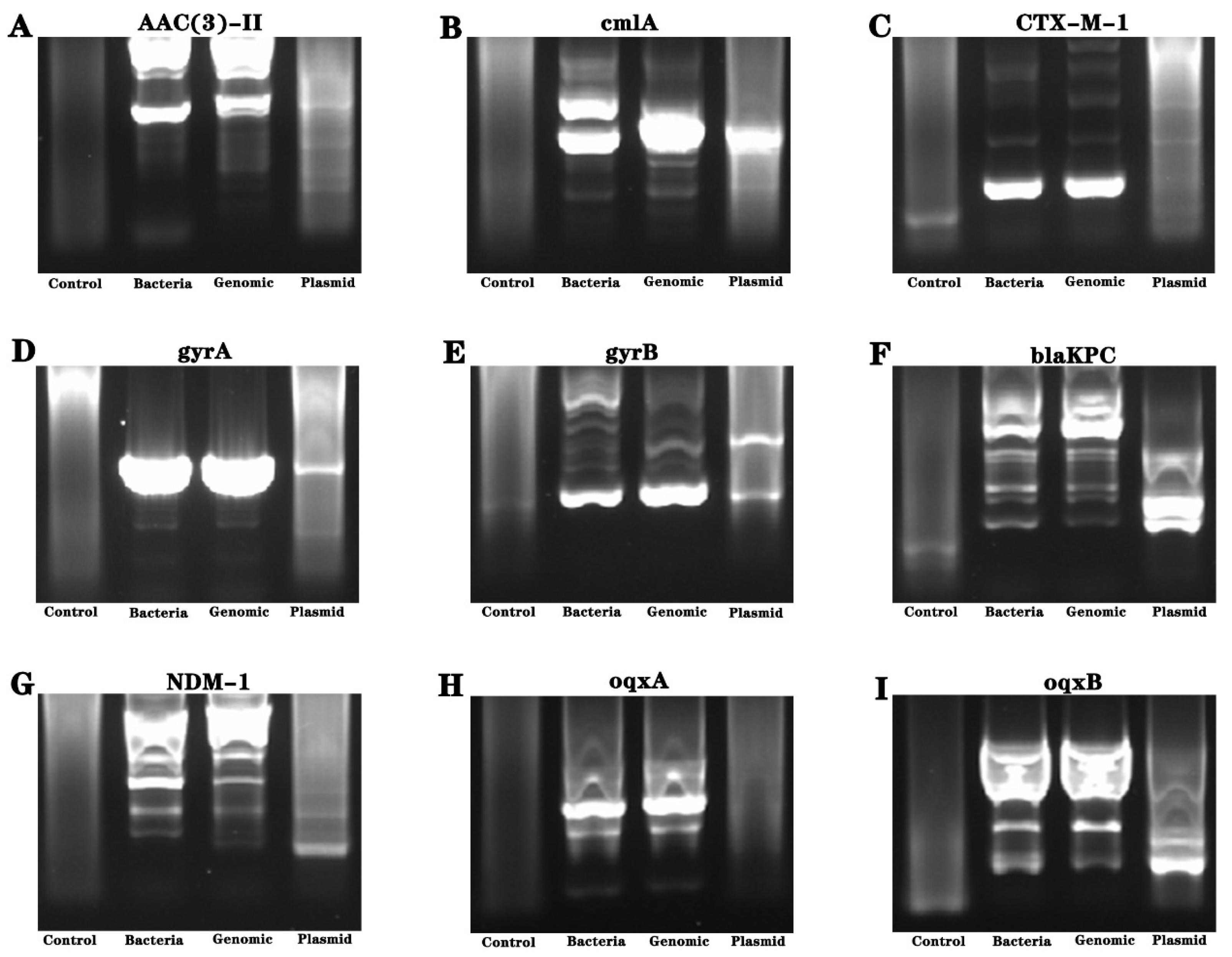 Separations 10 00461 g004