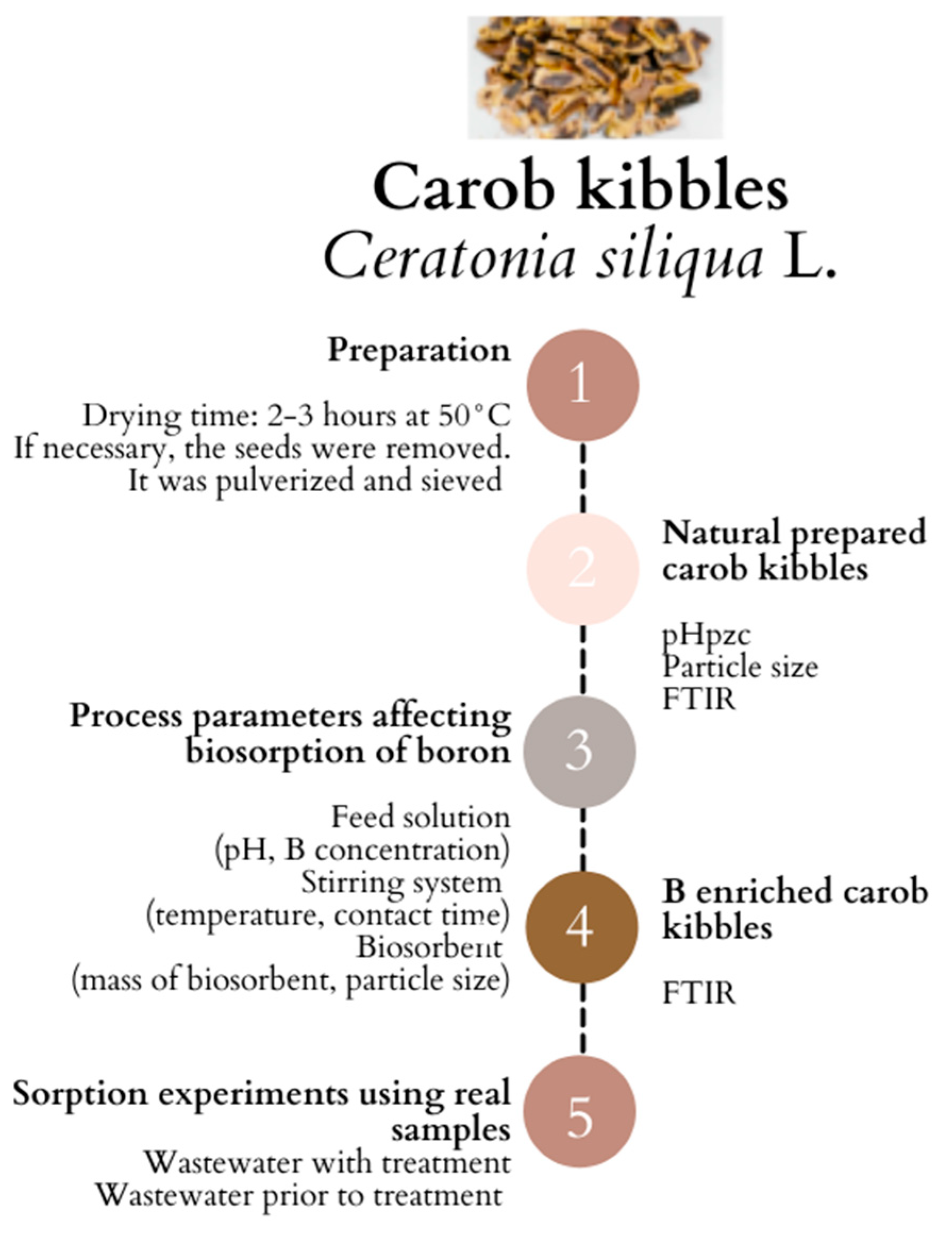 File:CAOB formation hypothesis 1.png - Wikimedia Commons