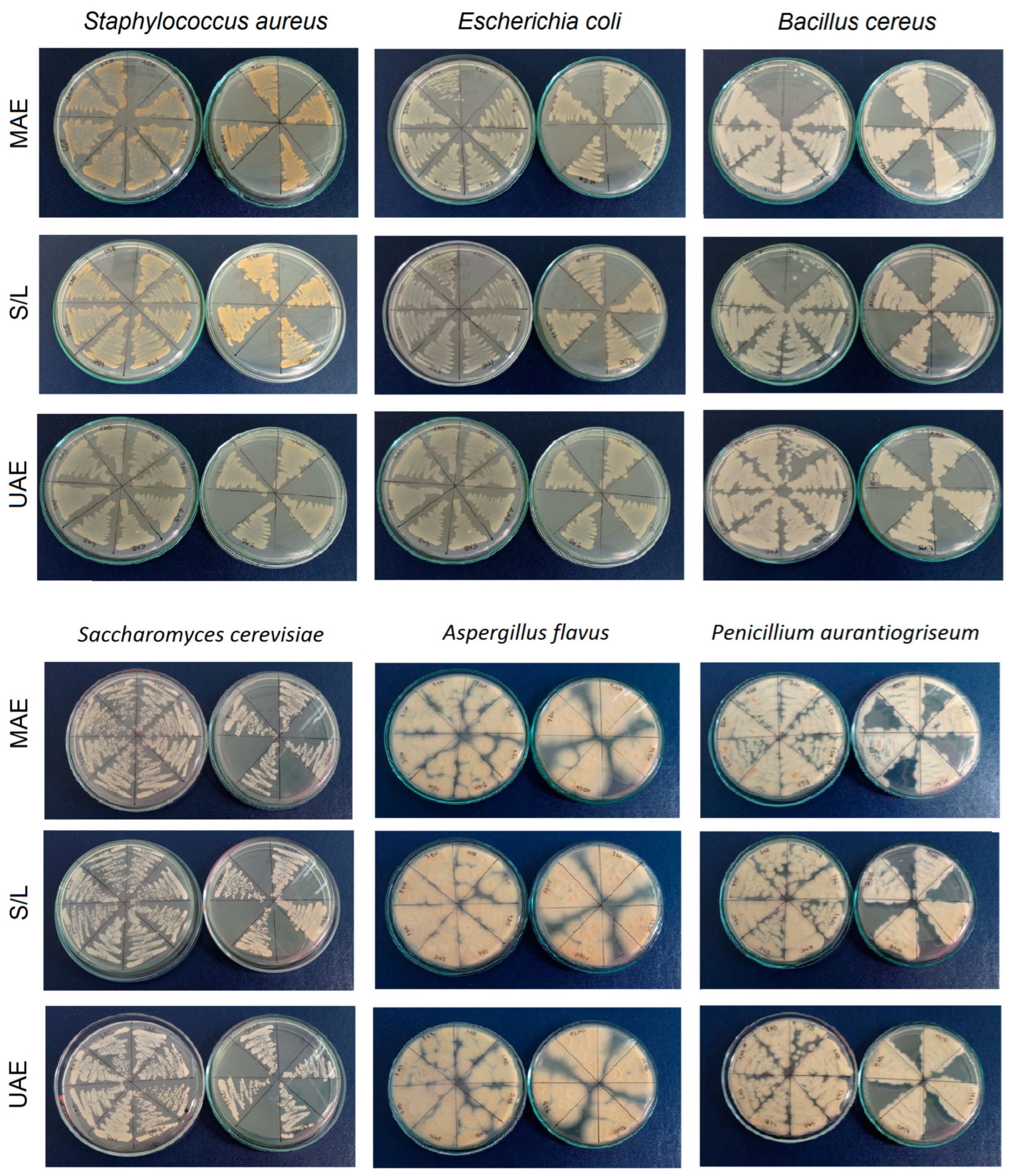 Separations 10 00465 g006 Separations 10 00465 g006