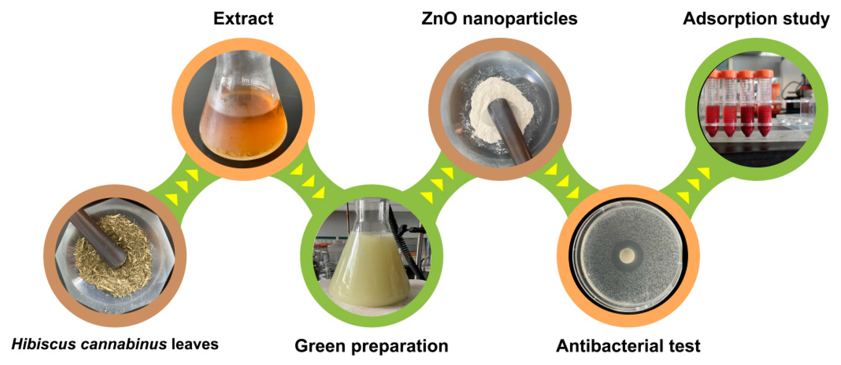 Separations 10 00466 g001