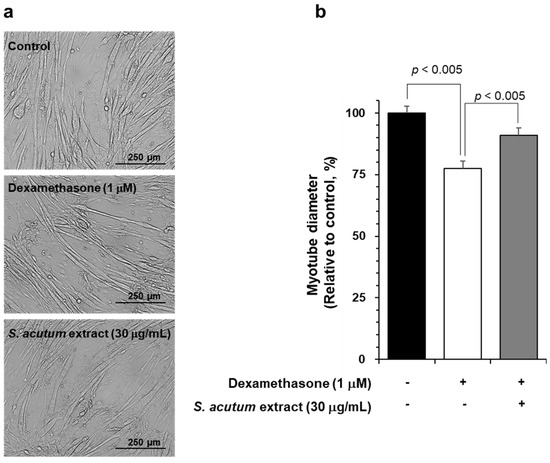 Isolation of Alkaloids from Sinomenium acutum by Centrifugal