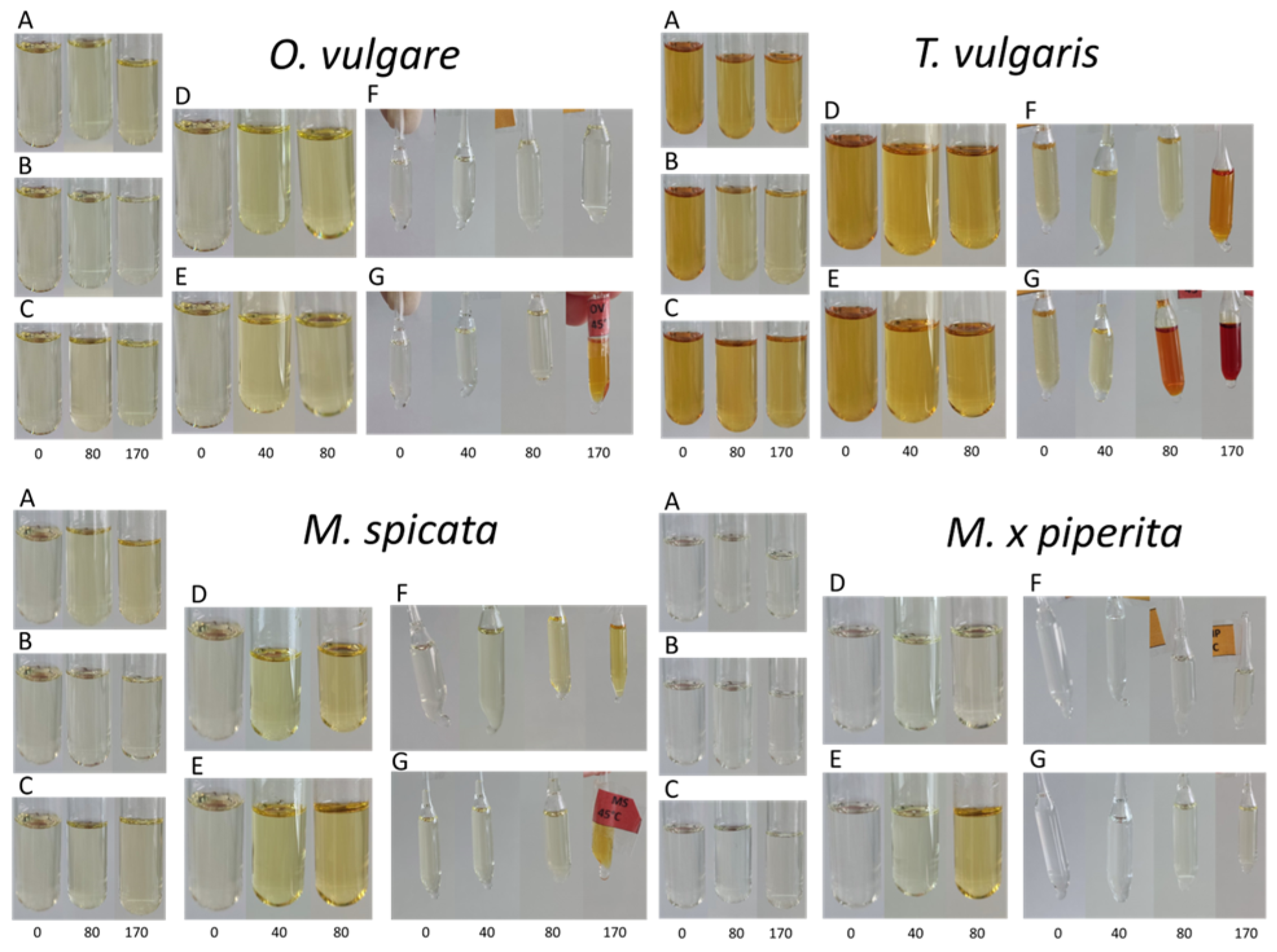 Separations 10 00488 g002