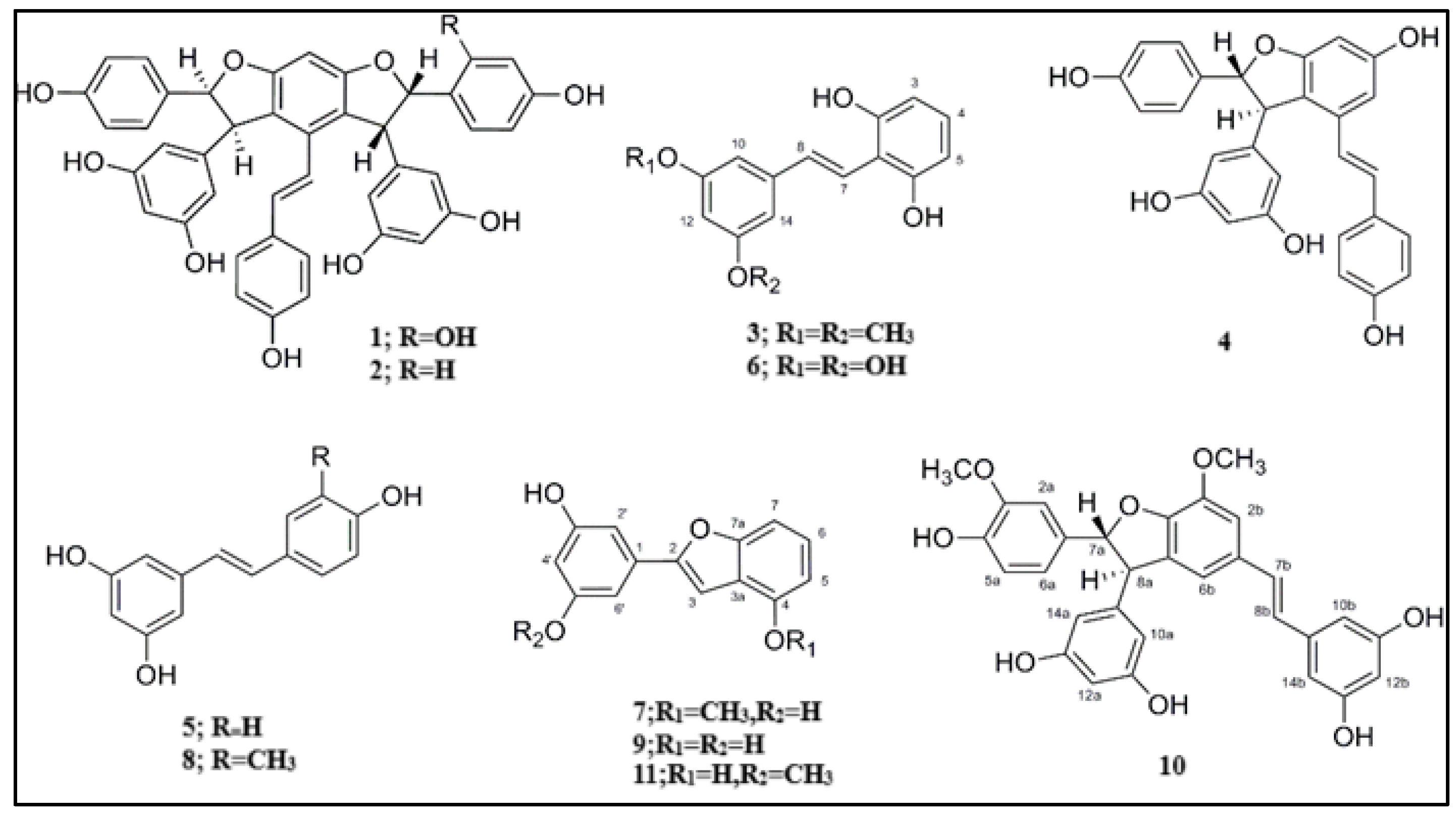 Separations 10 00496 g001