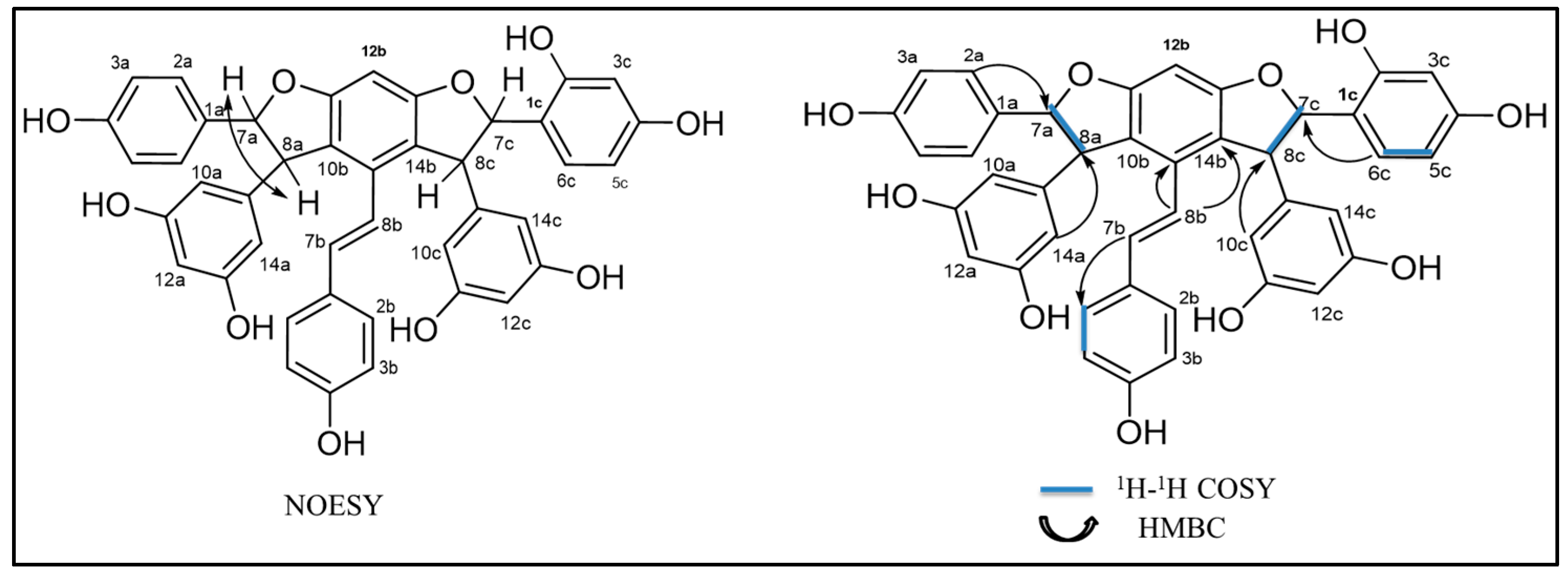 Separations 10 00496 g002