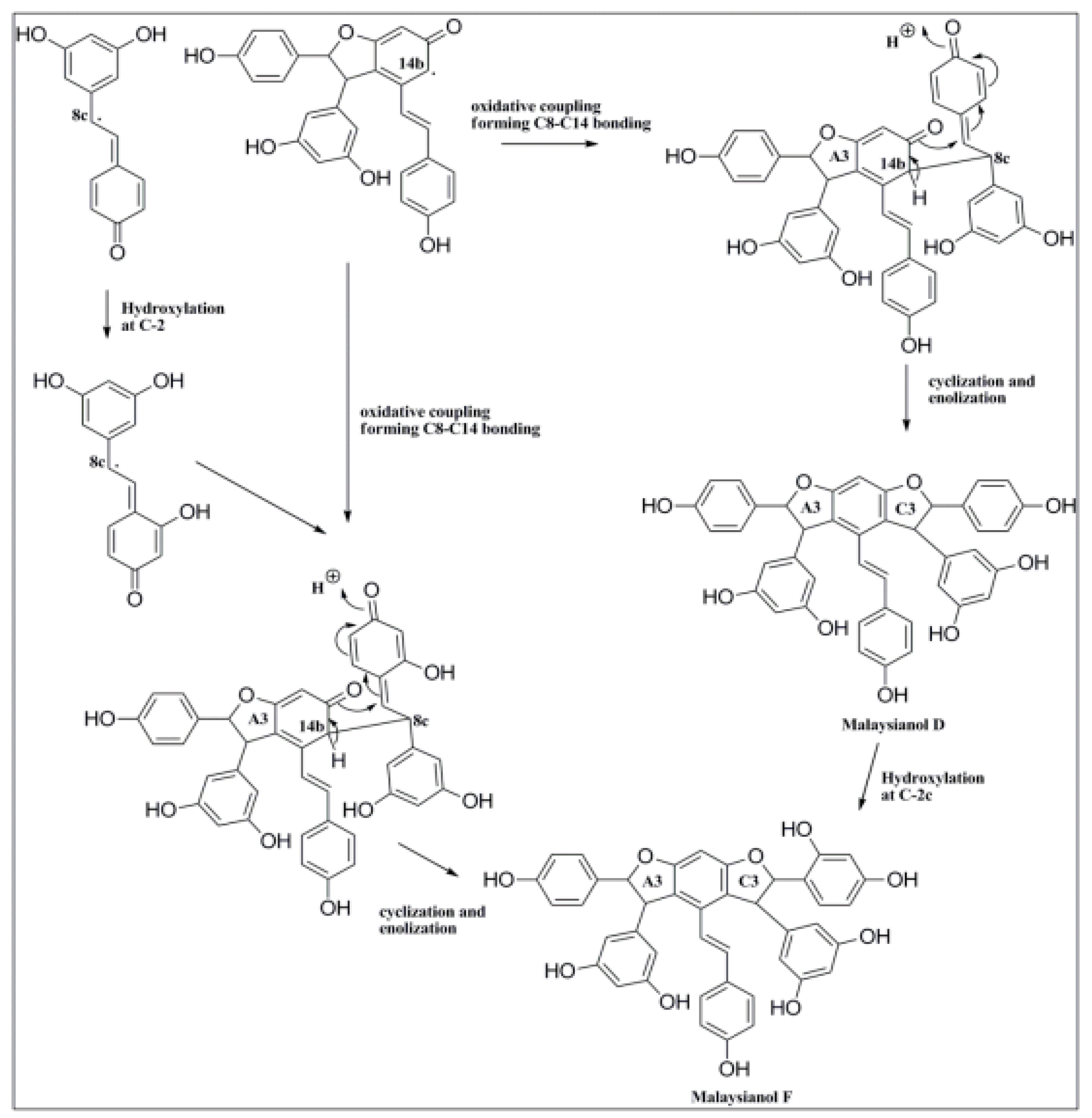 Separations 10 00496 g003