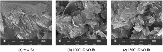 Y.F様オーダー Astragali Radix (Huangqi): A promising edible immunomodulatory