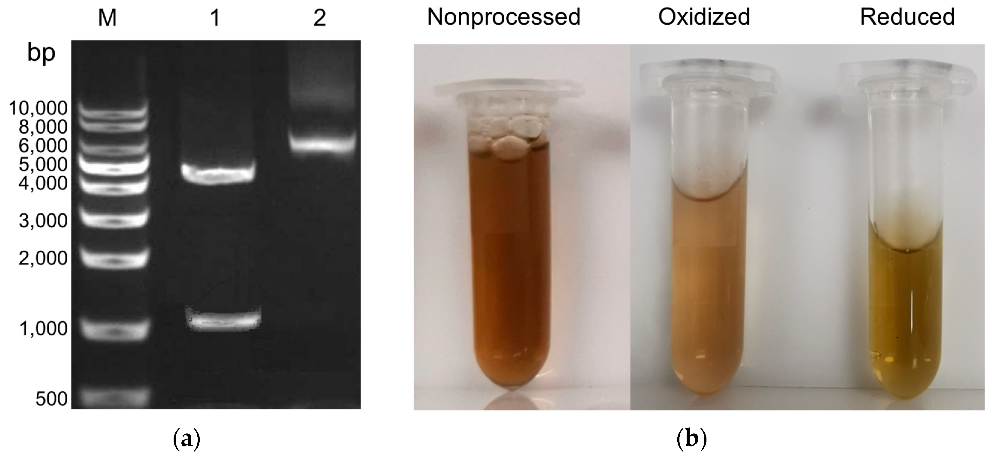 Separations 10 00554 g001a