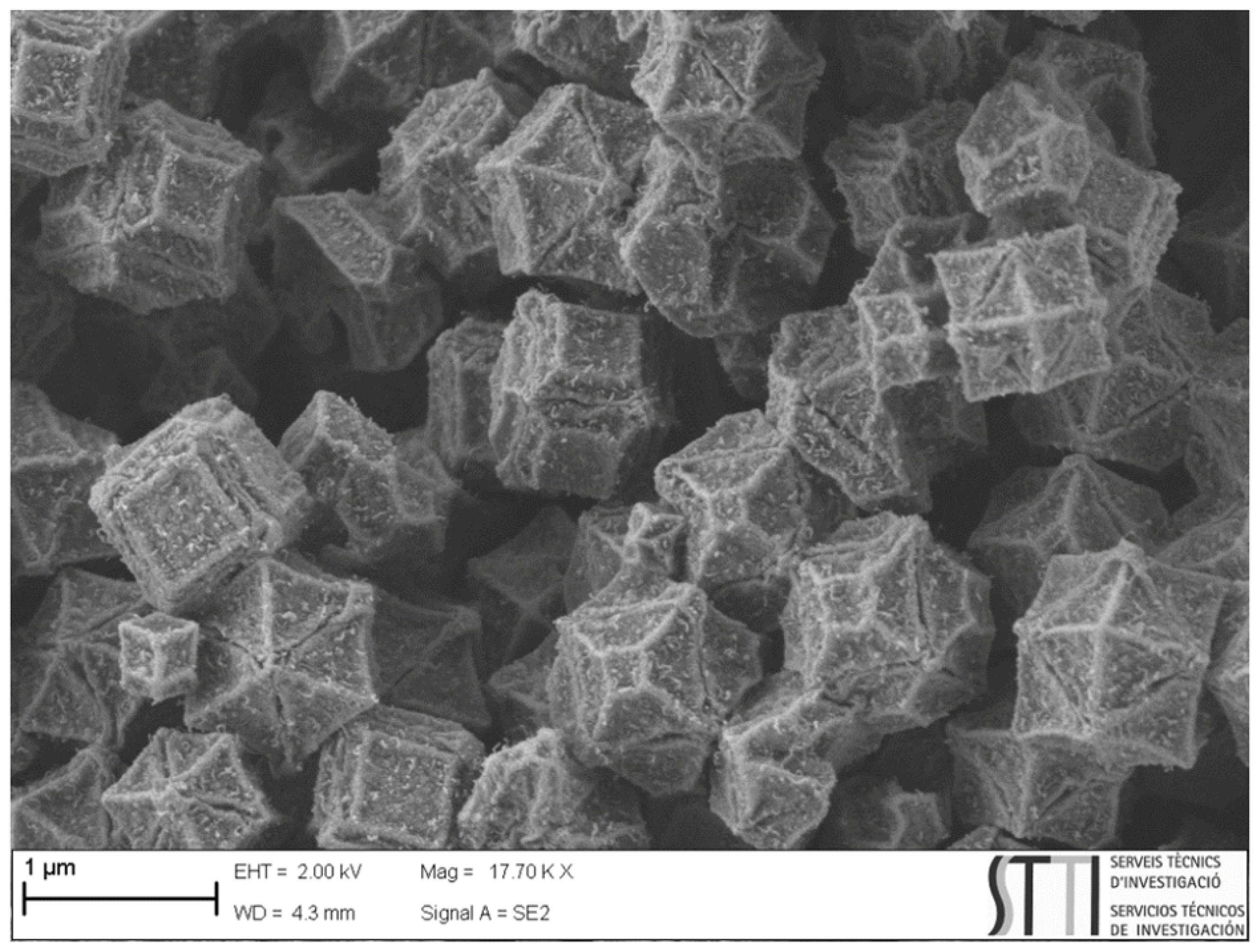 Separations 10 00563 g002