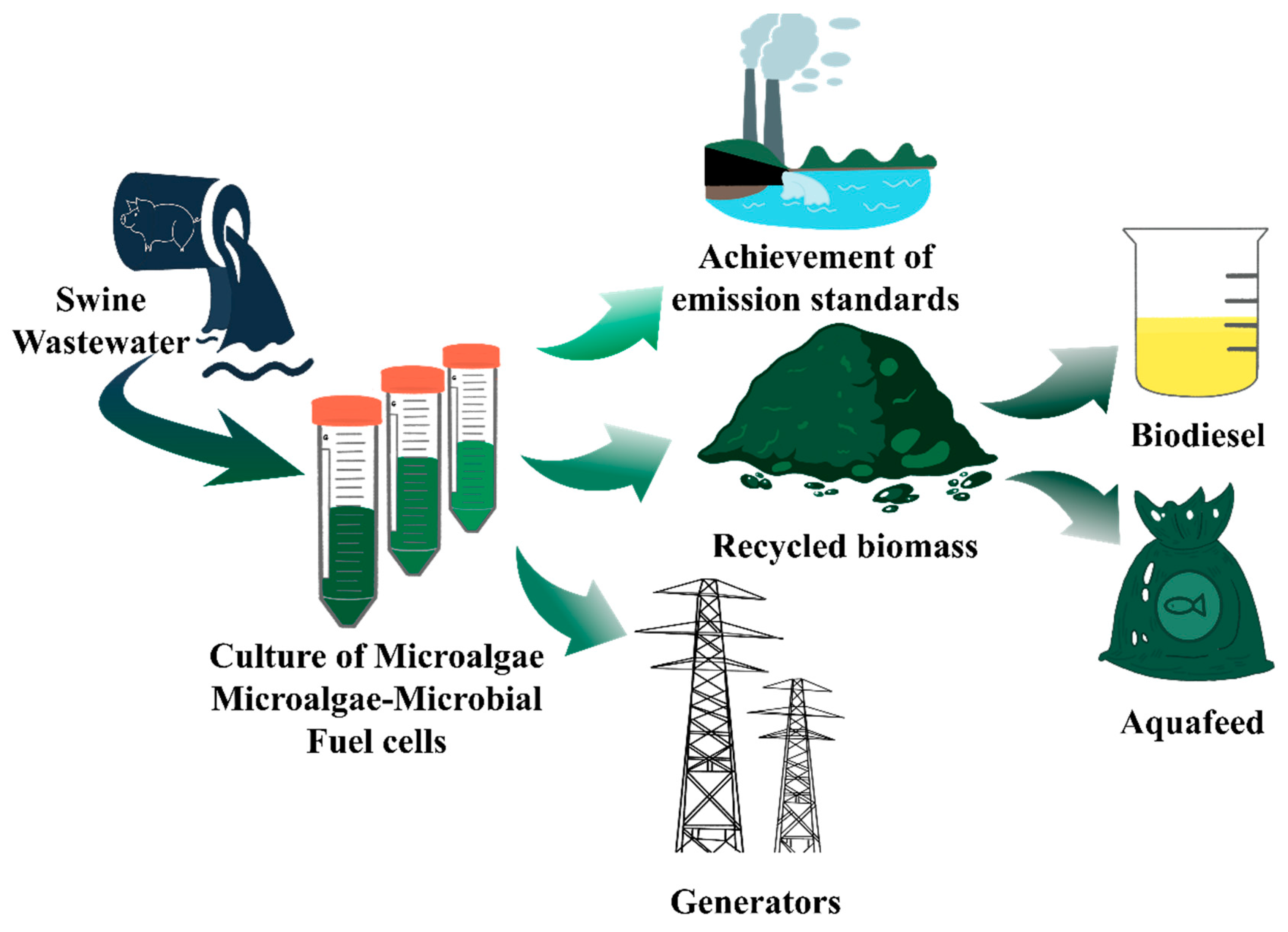 Separations 10 00591 g005