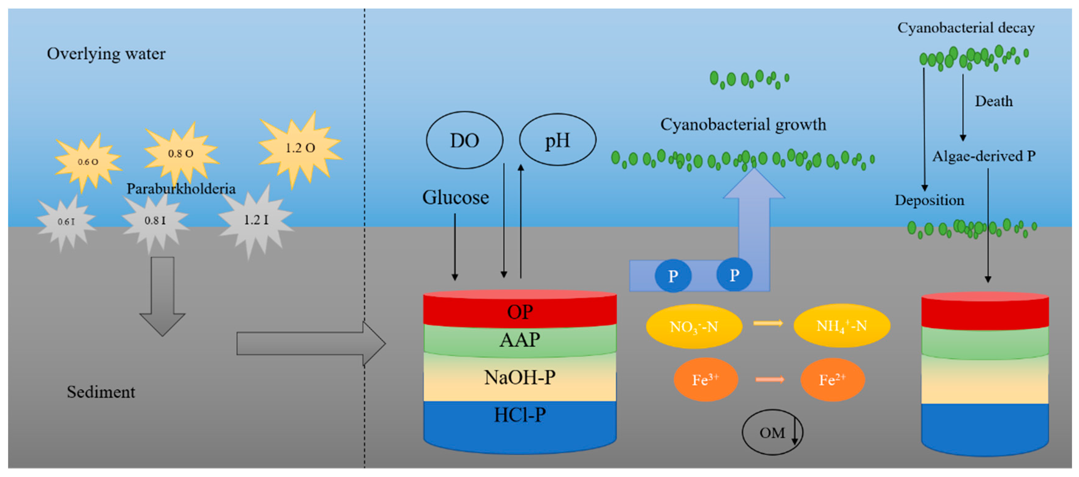Separations 10 00595 g007