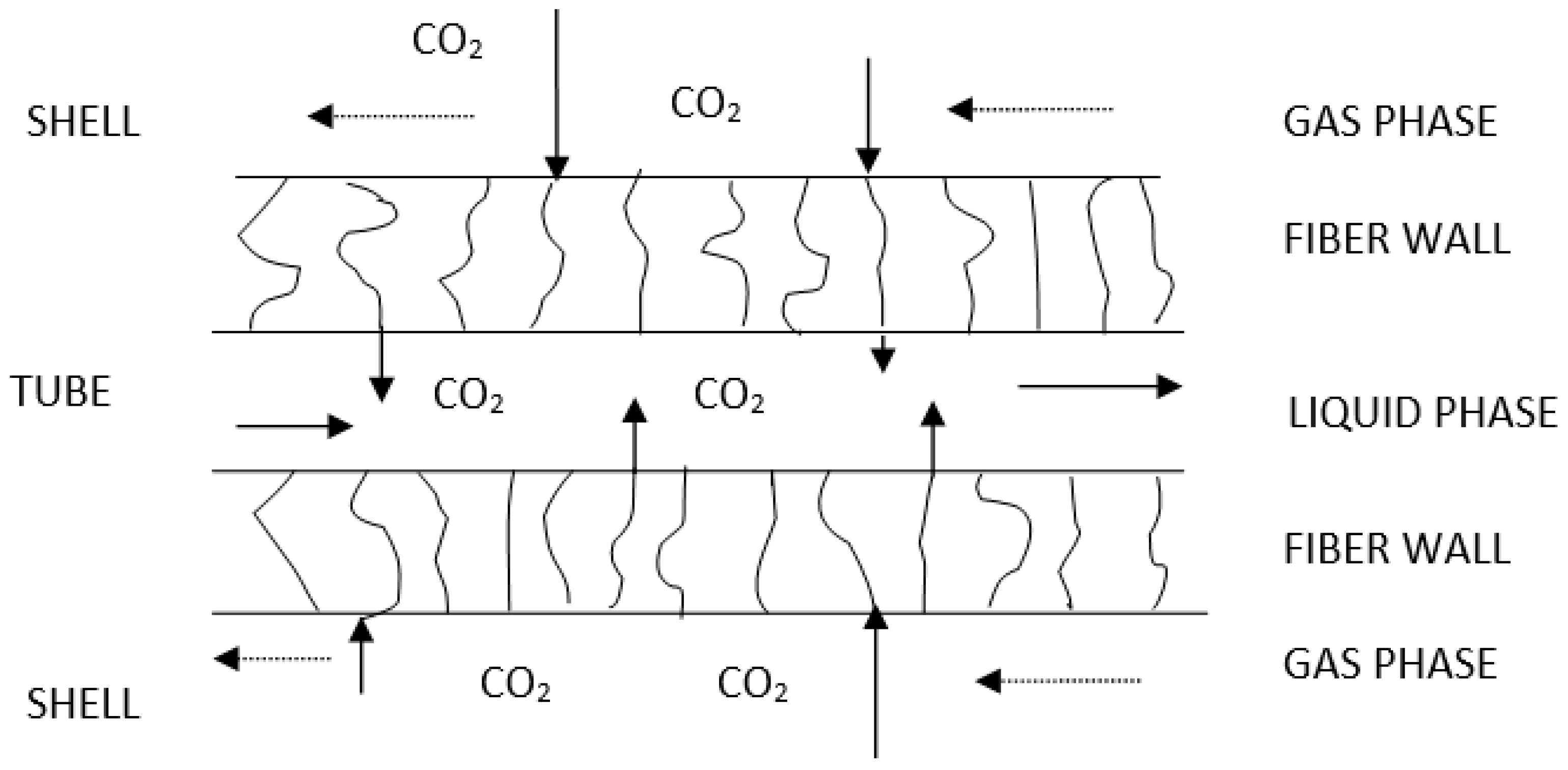 Separations 11 00001 g005