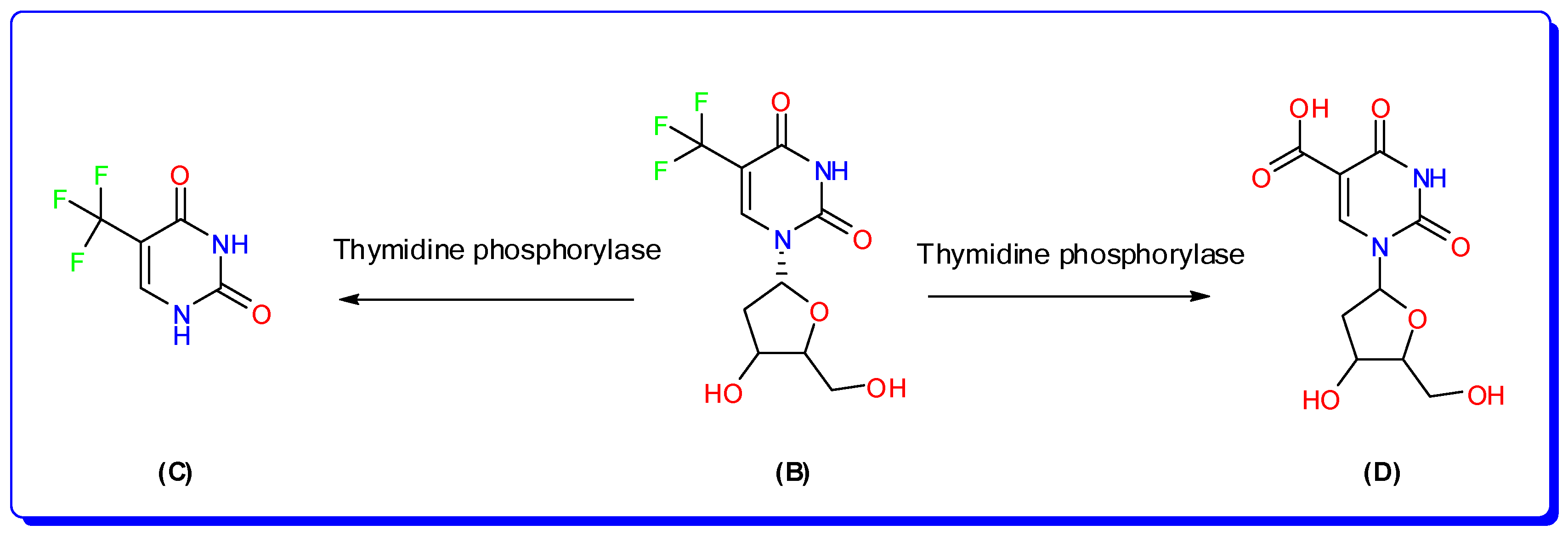 Separations 11 00010 g002