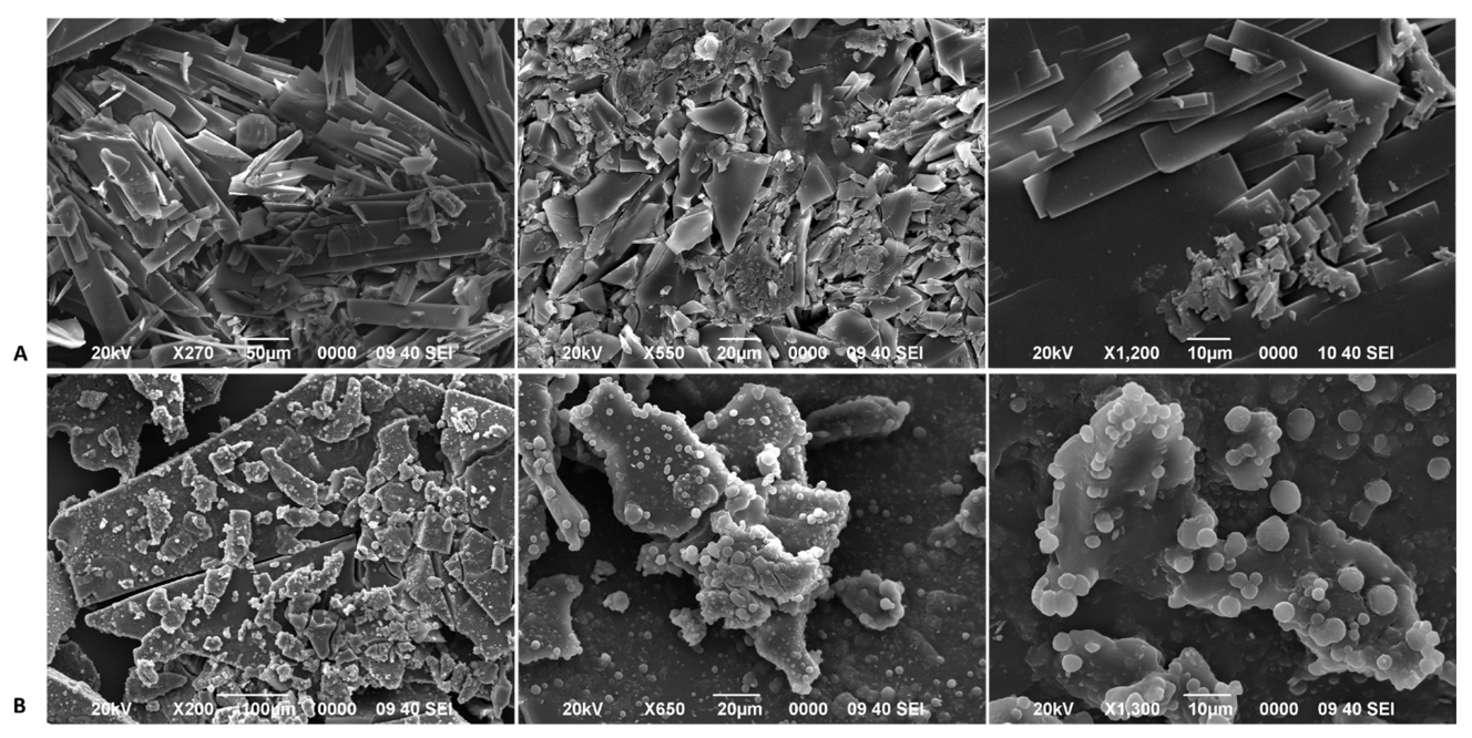 Separations 11 00023 g006