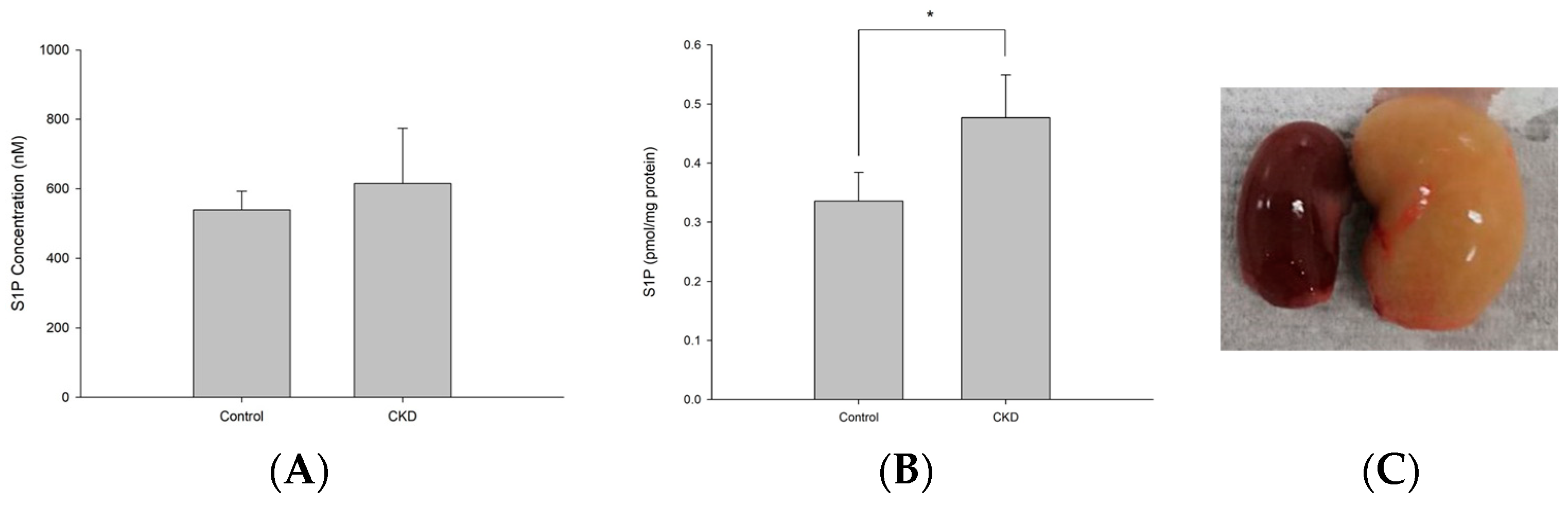 Separations 11 00034 g006