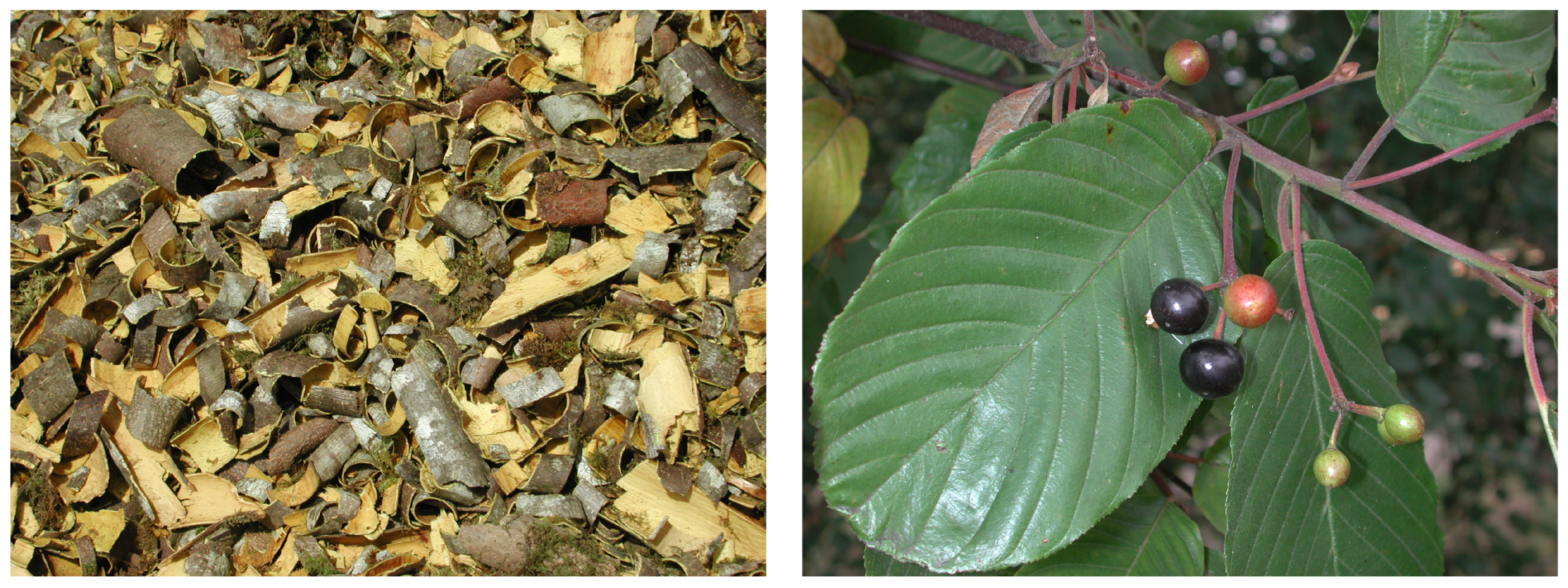 Separations 11 00047 g002