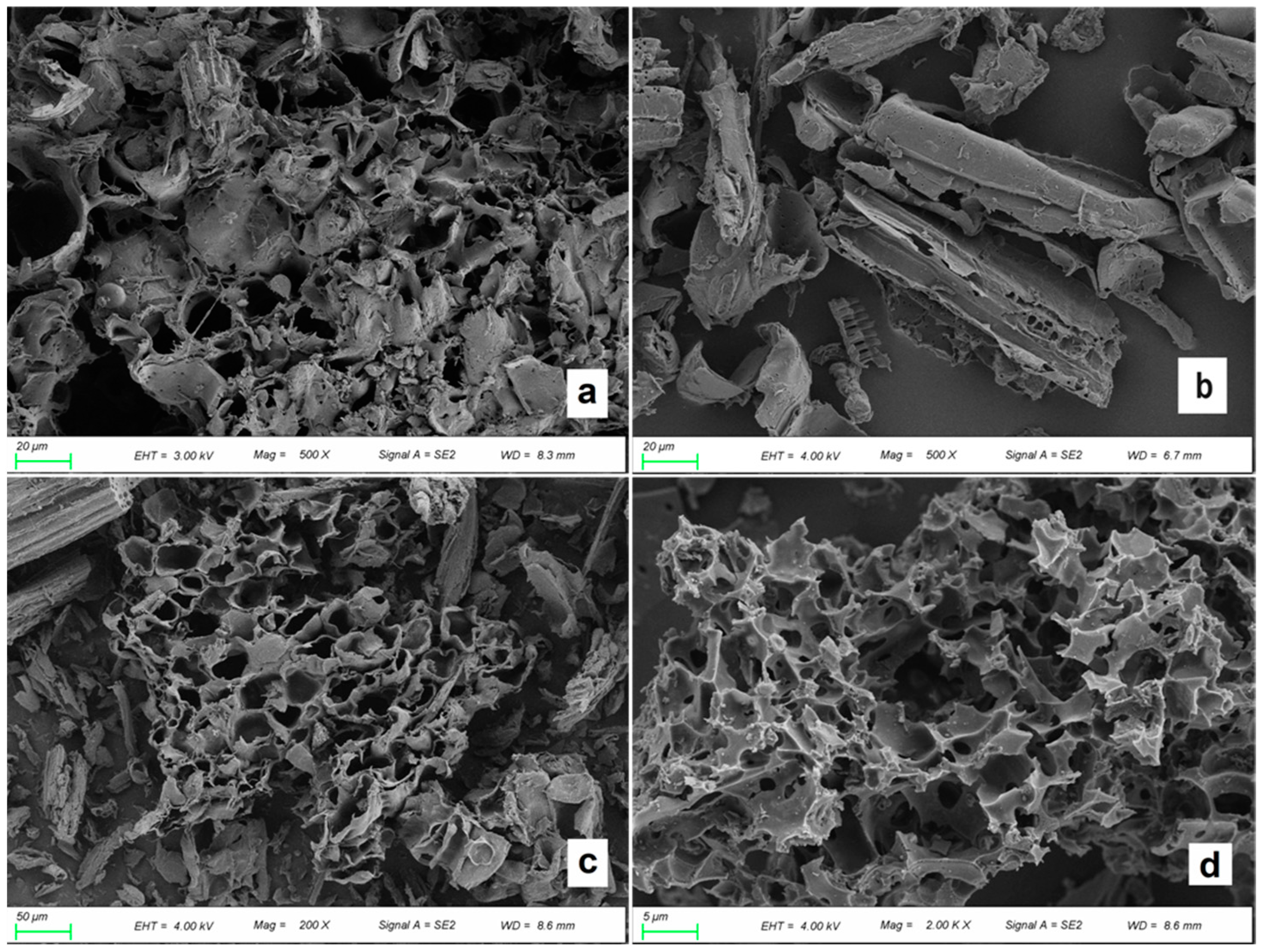 Separations 11 00048 g001