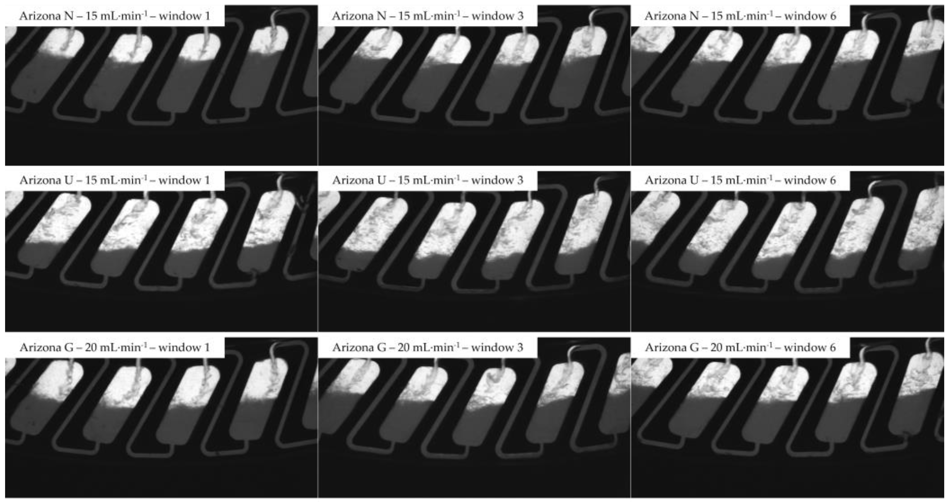 Separations 11 00056 g003