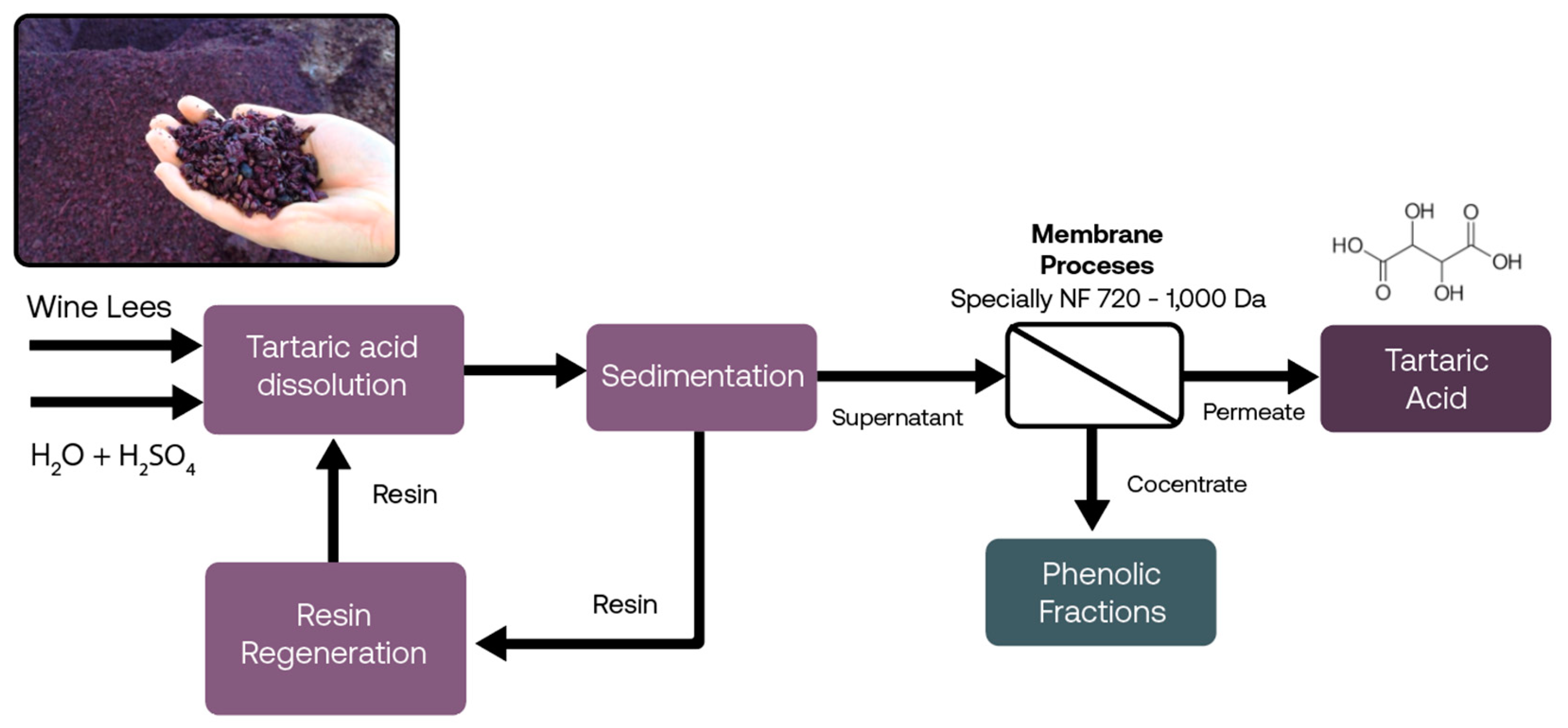 Separations 11 00064 g003