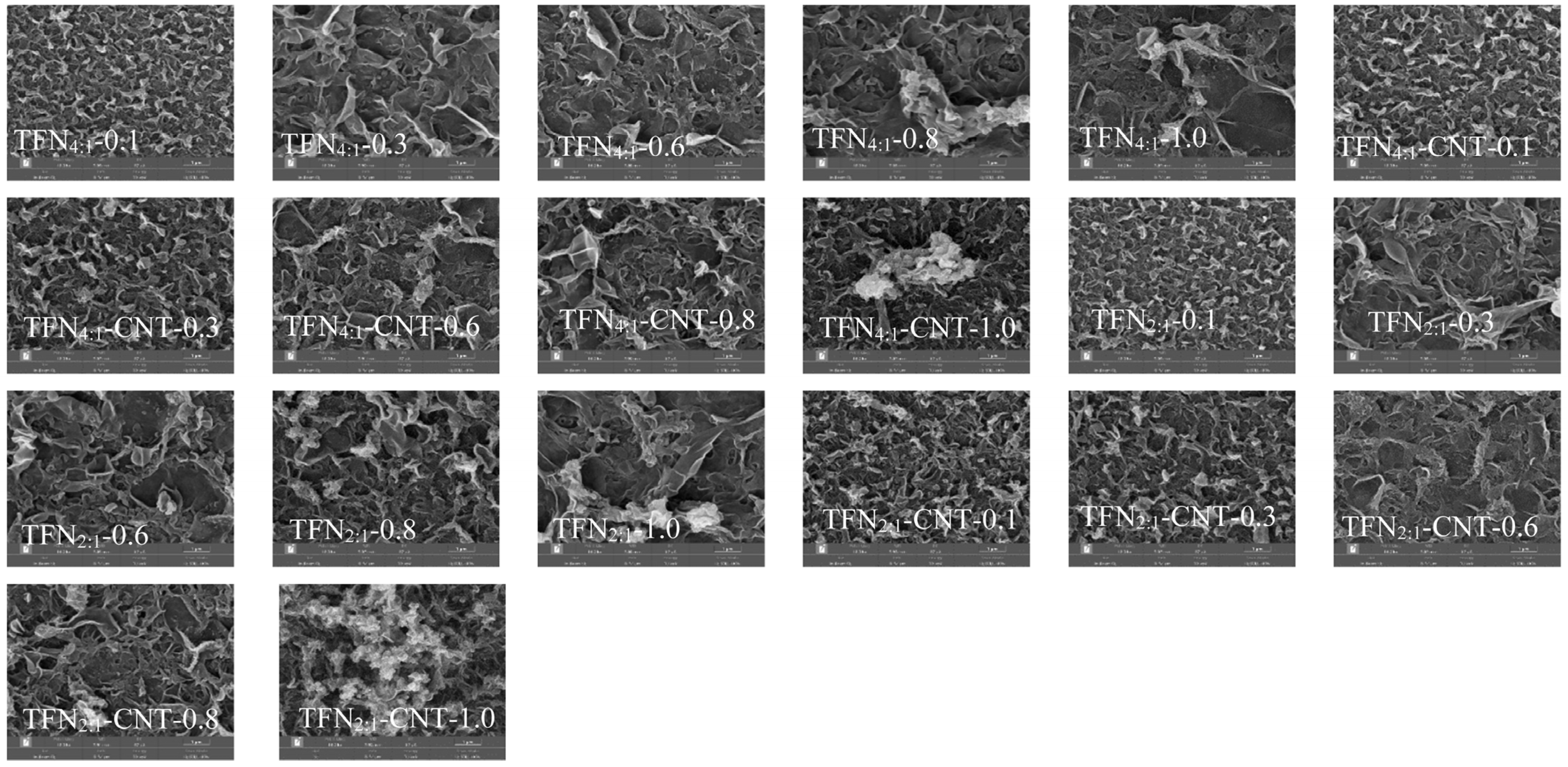 Separations 11 00075 g003