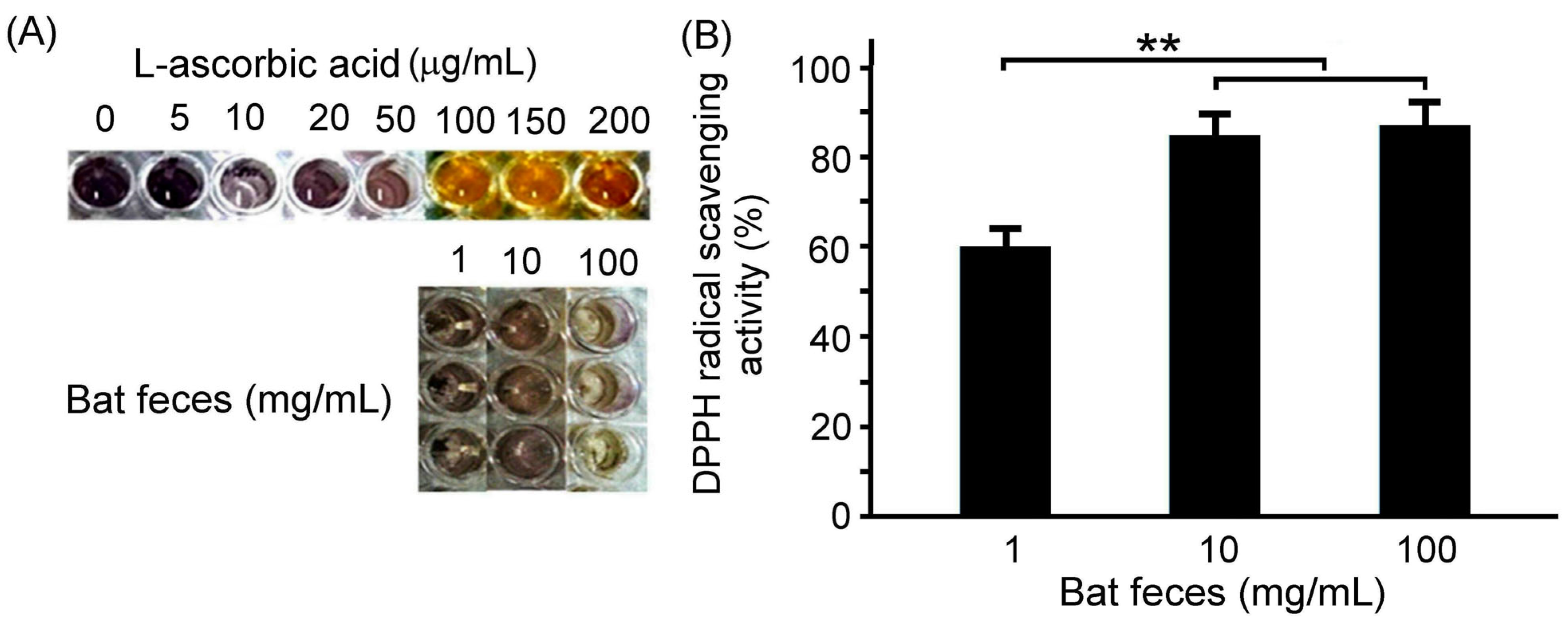 Separations 11 00076 g001