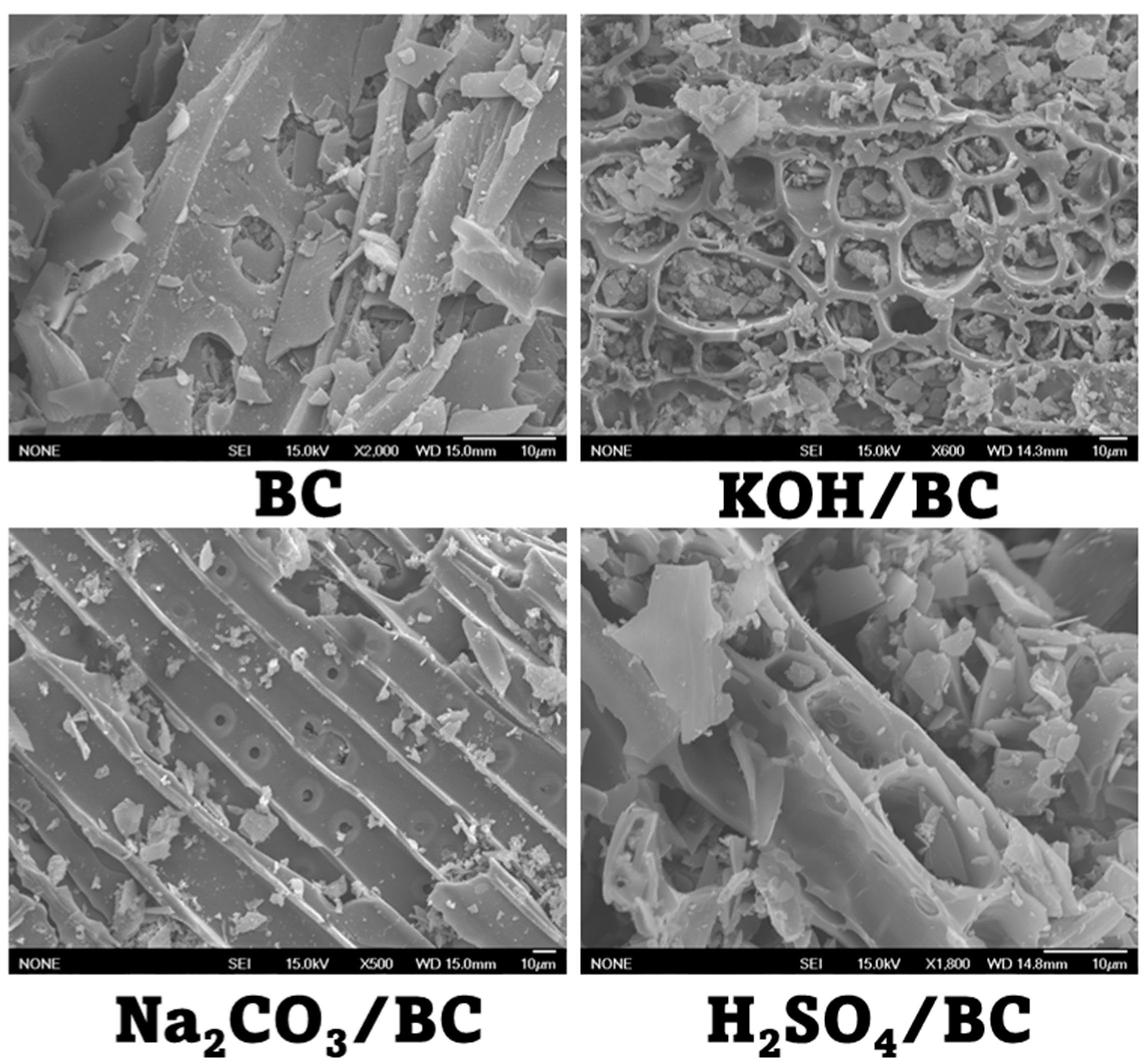 Separations 11 00078 g002