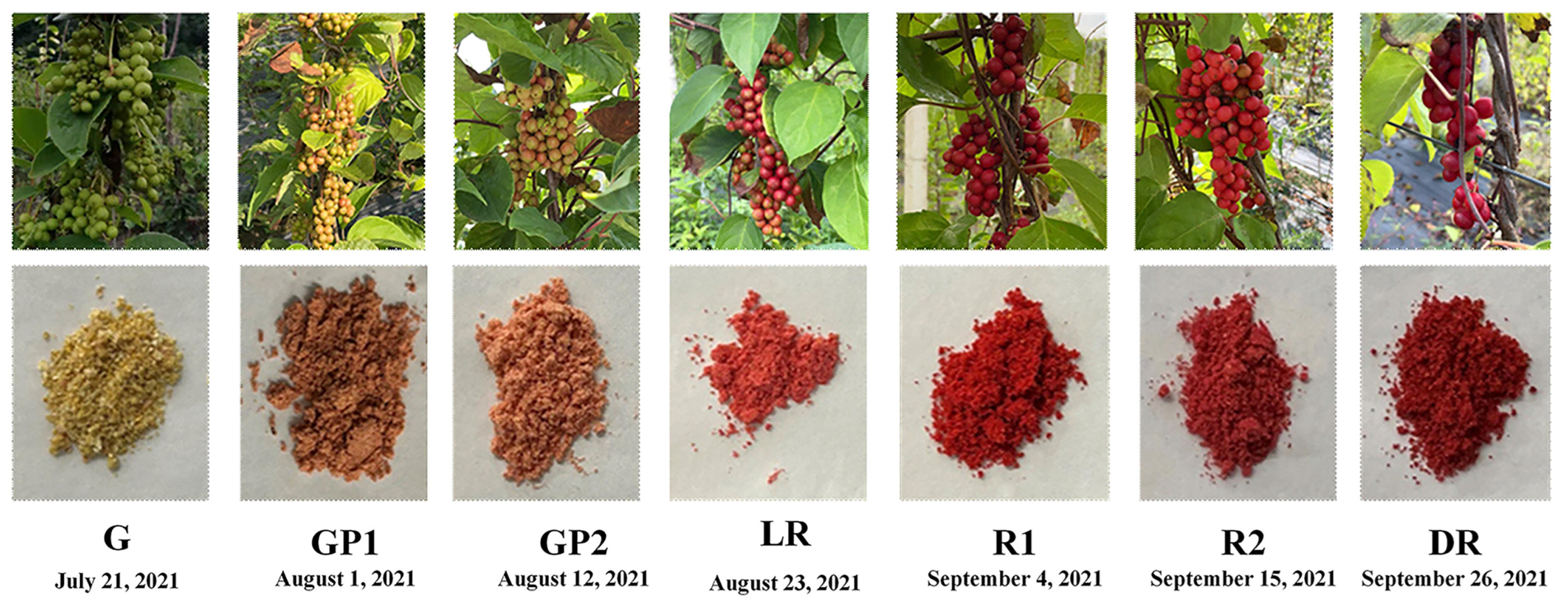 Separations 11 00088 g002
