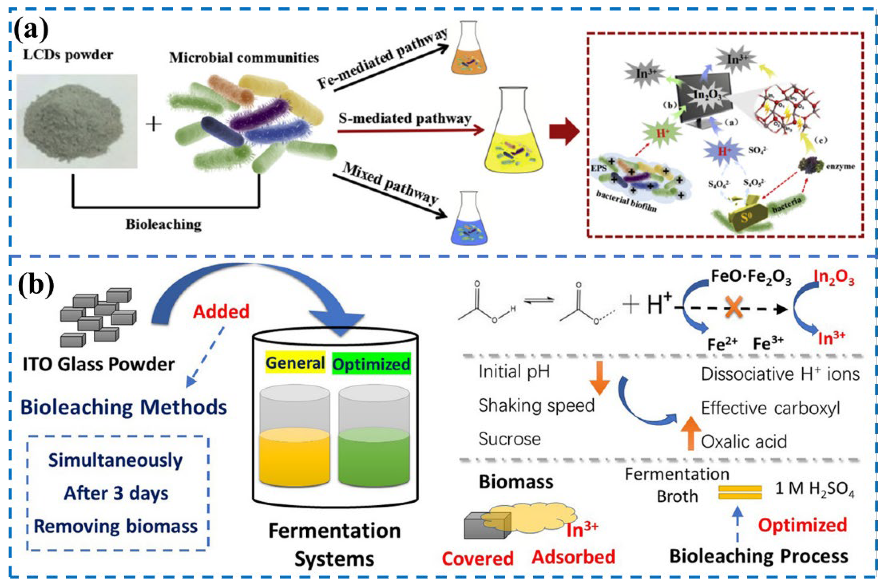 Separations 11 00091 g007