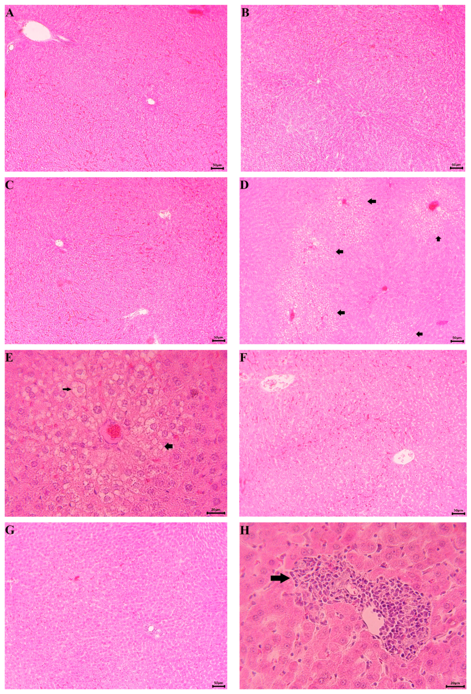 Separations 11 00117 g010