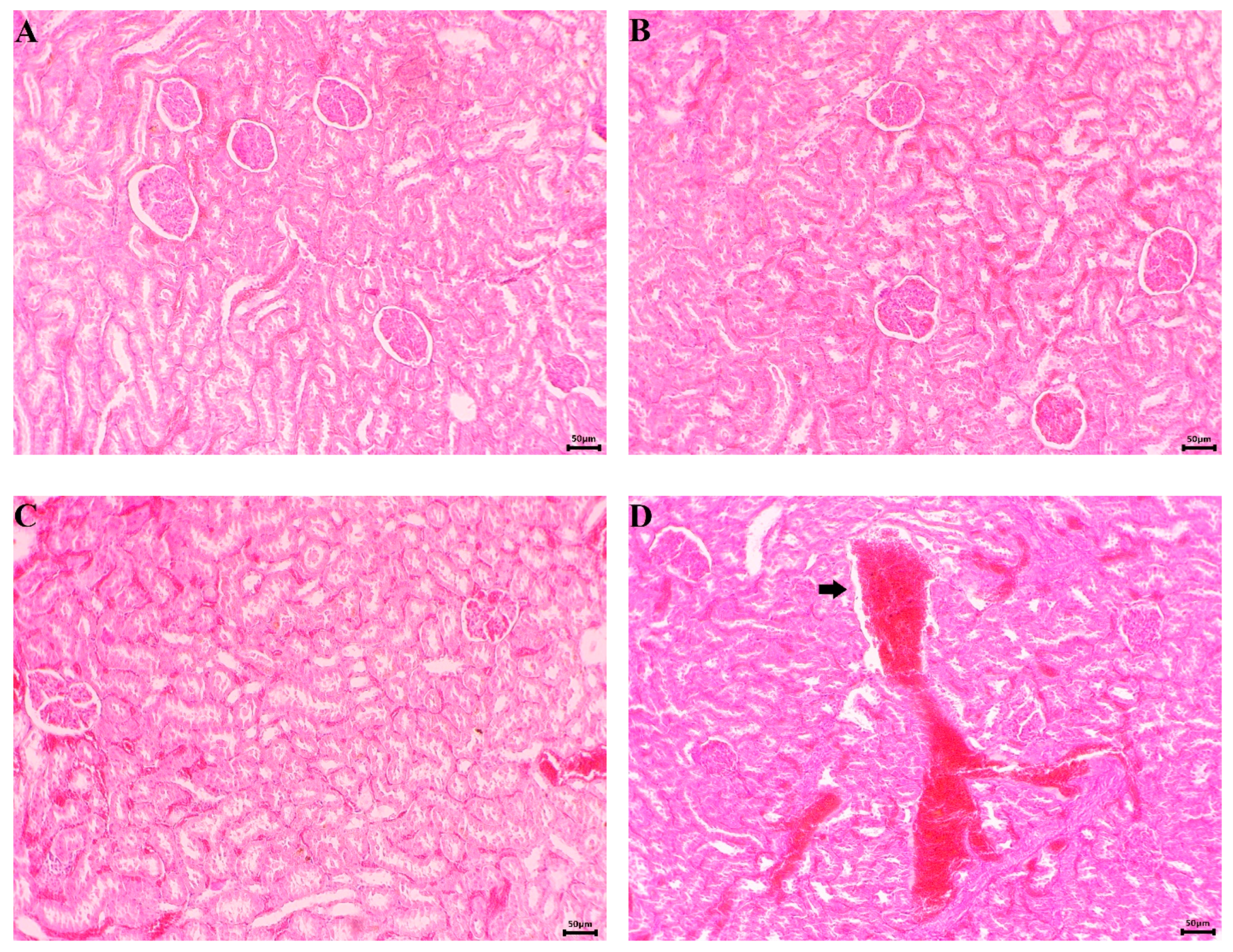 Separations 11 00117 g011a
