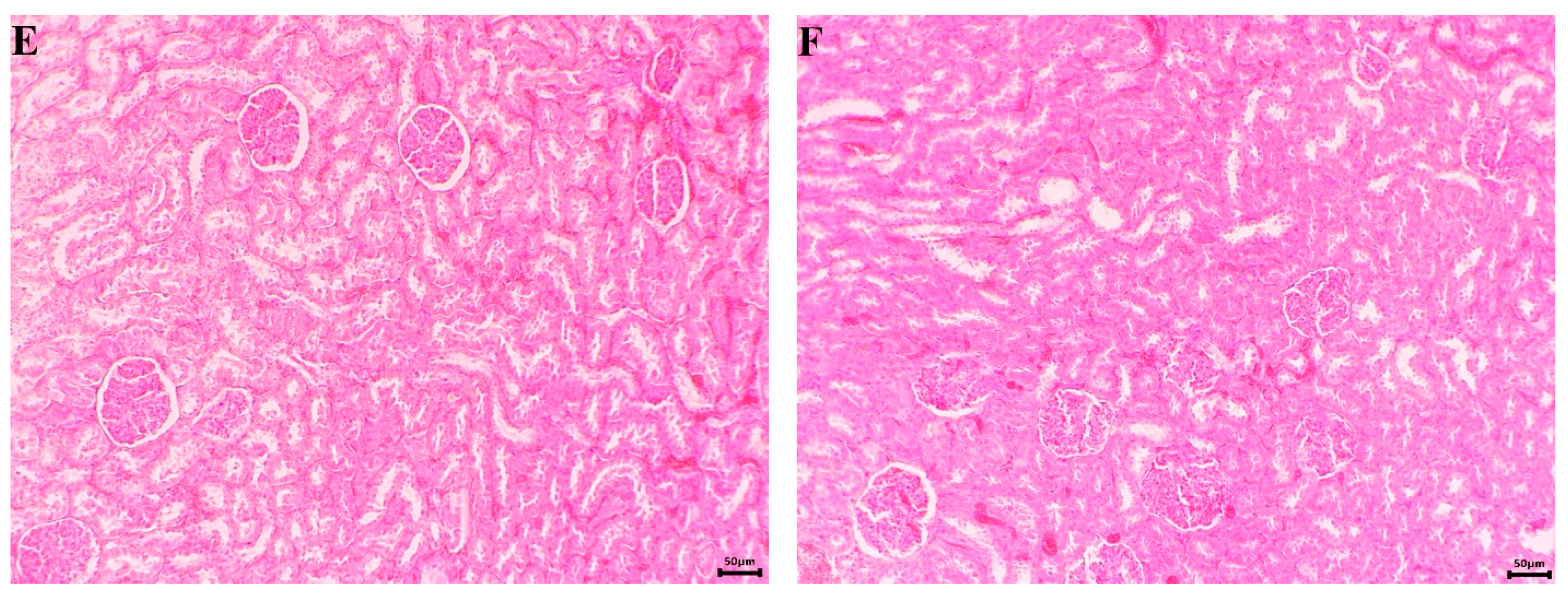 Separations 11 00117 g011b