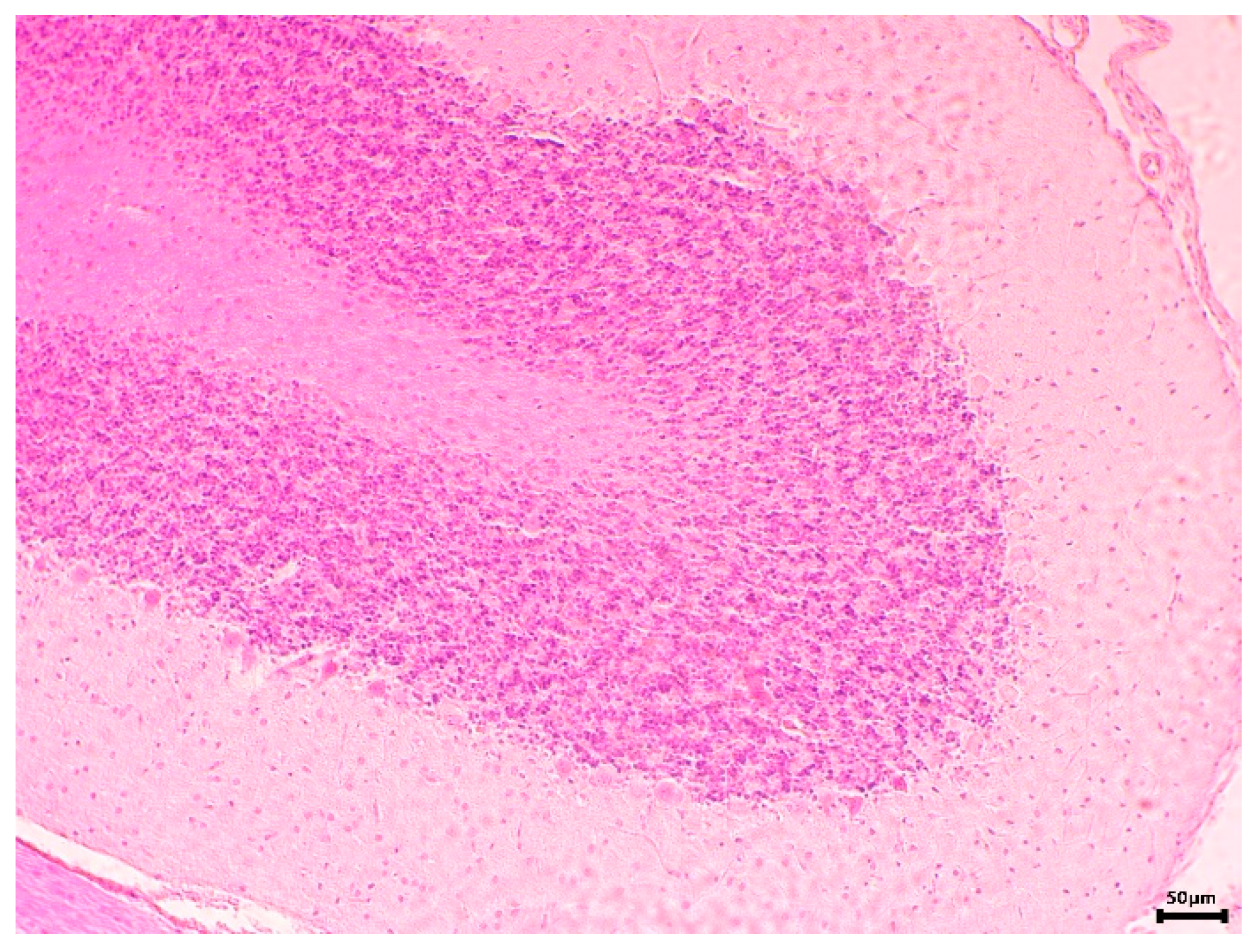 Separations 11 00117 g012