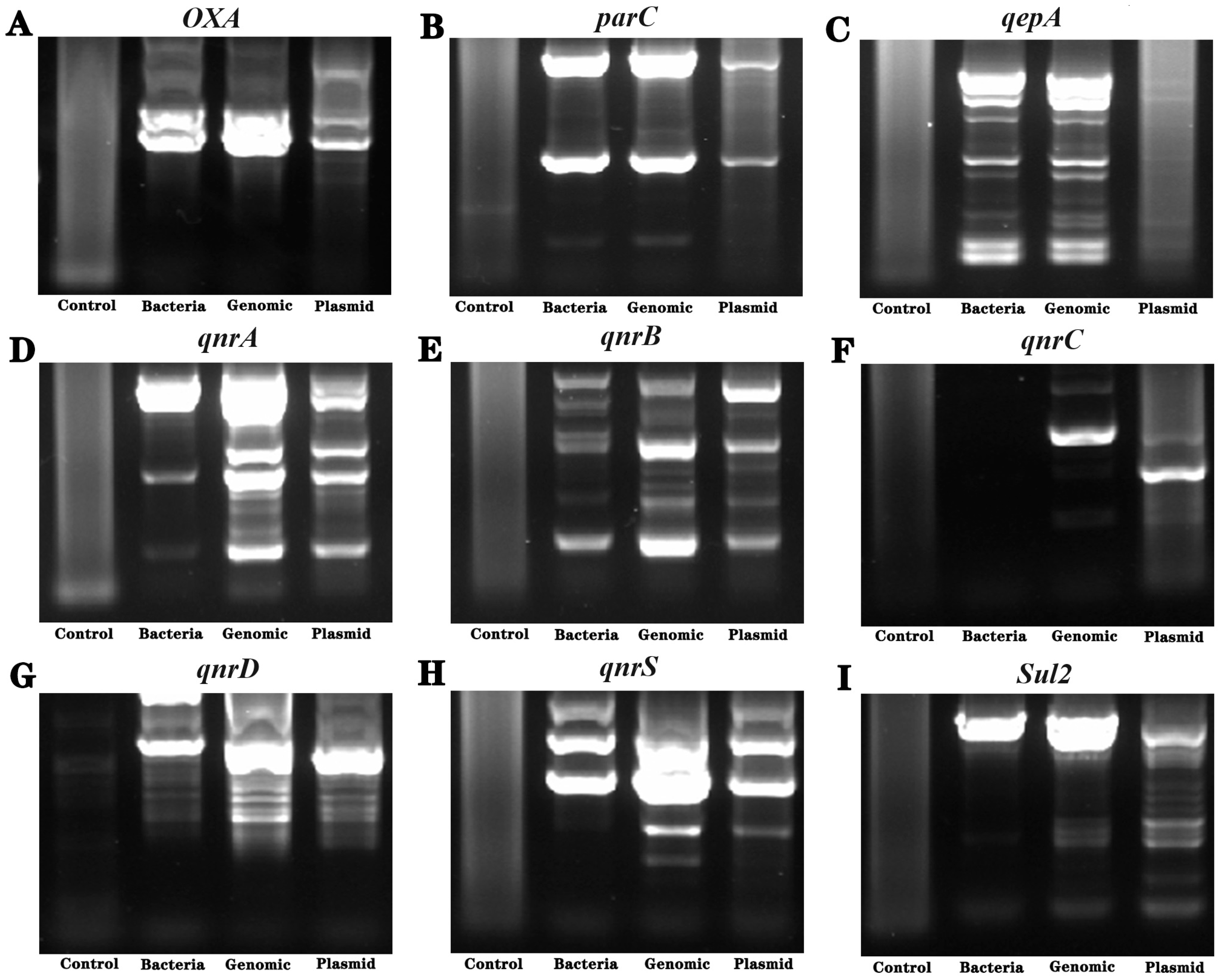 Separations 11 00121 g004