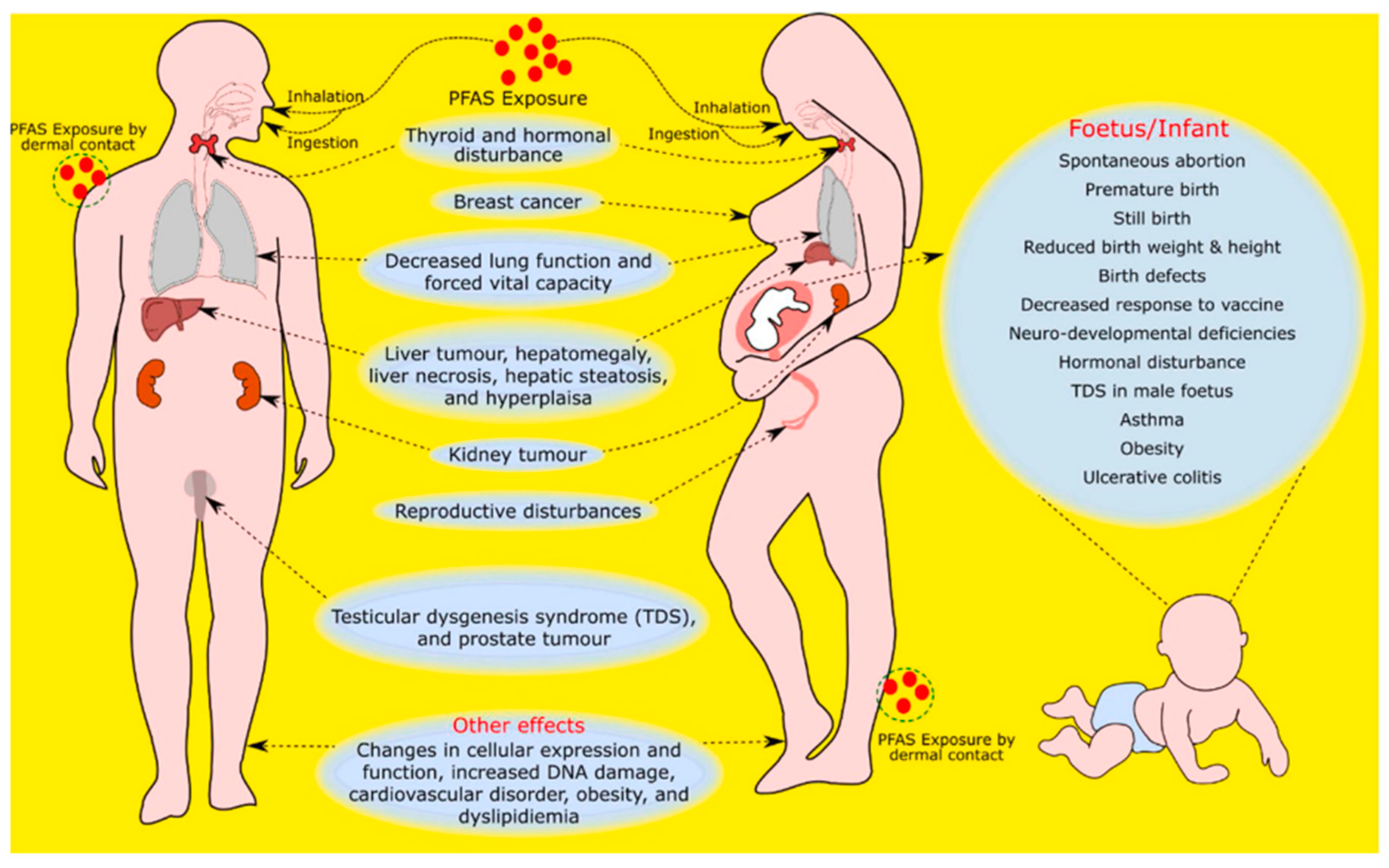 Separations 11 00122 g003