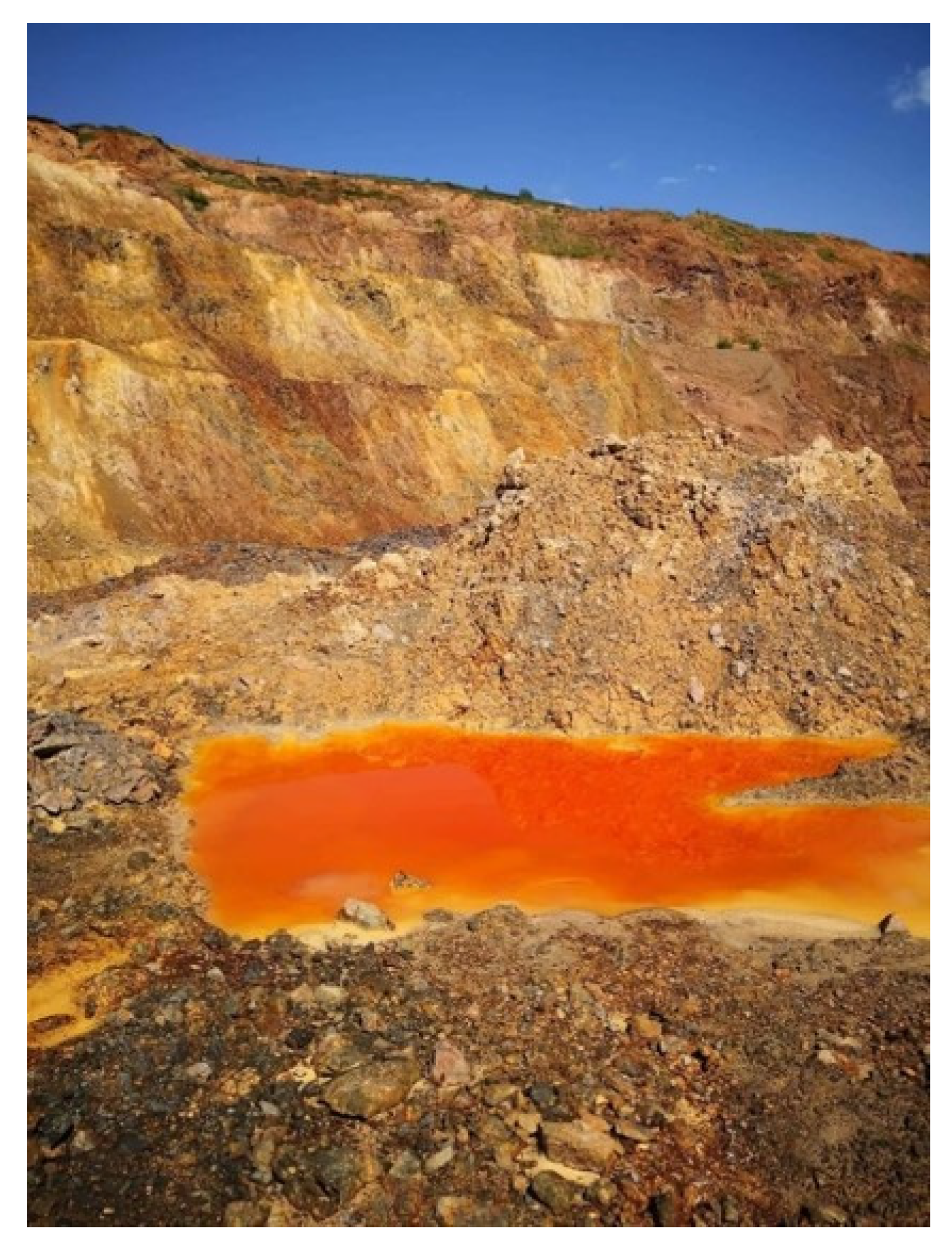 Separations 11 00124 g001