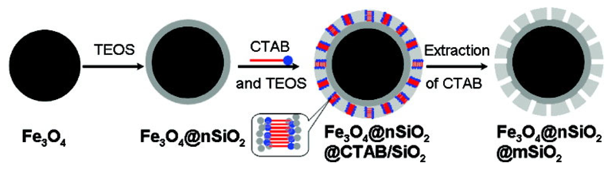 Separations 11 00130 g011 Separations 11 00130 g011