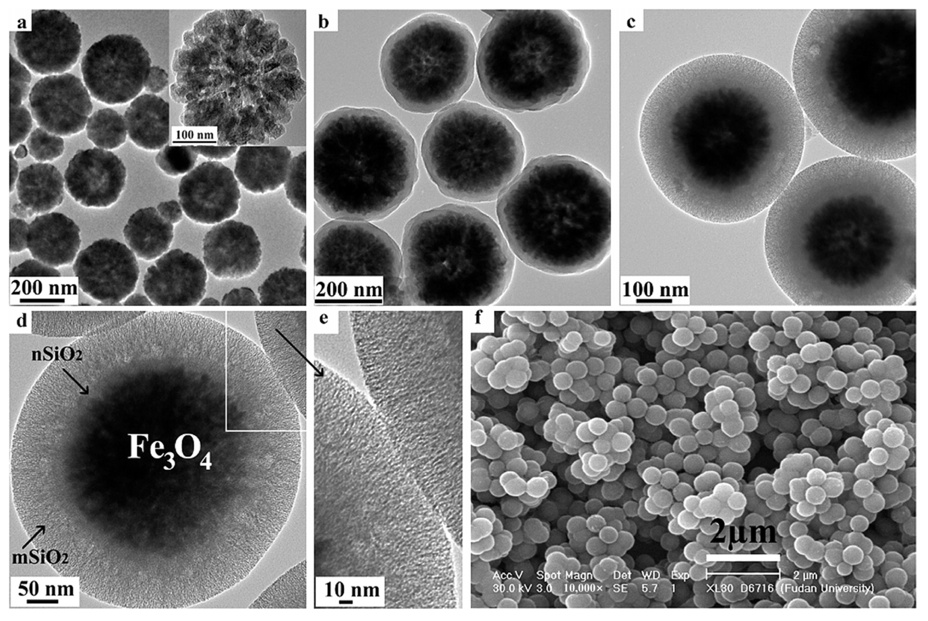 Separations 11 00130 g012 Separations 11 00130 g012