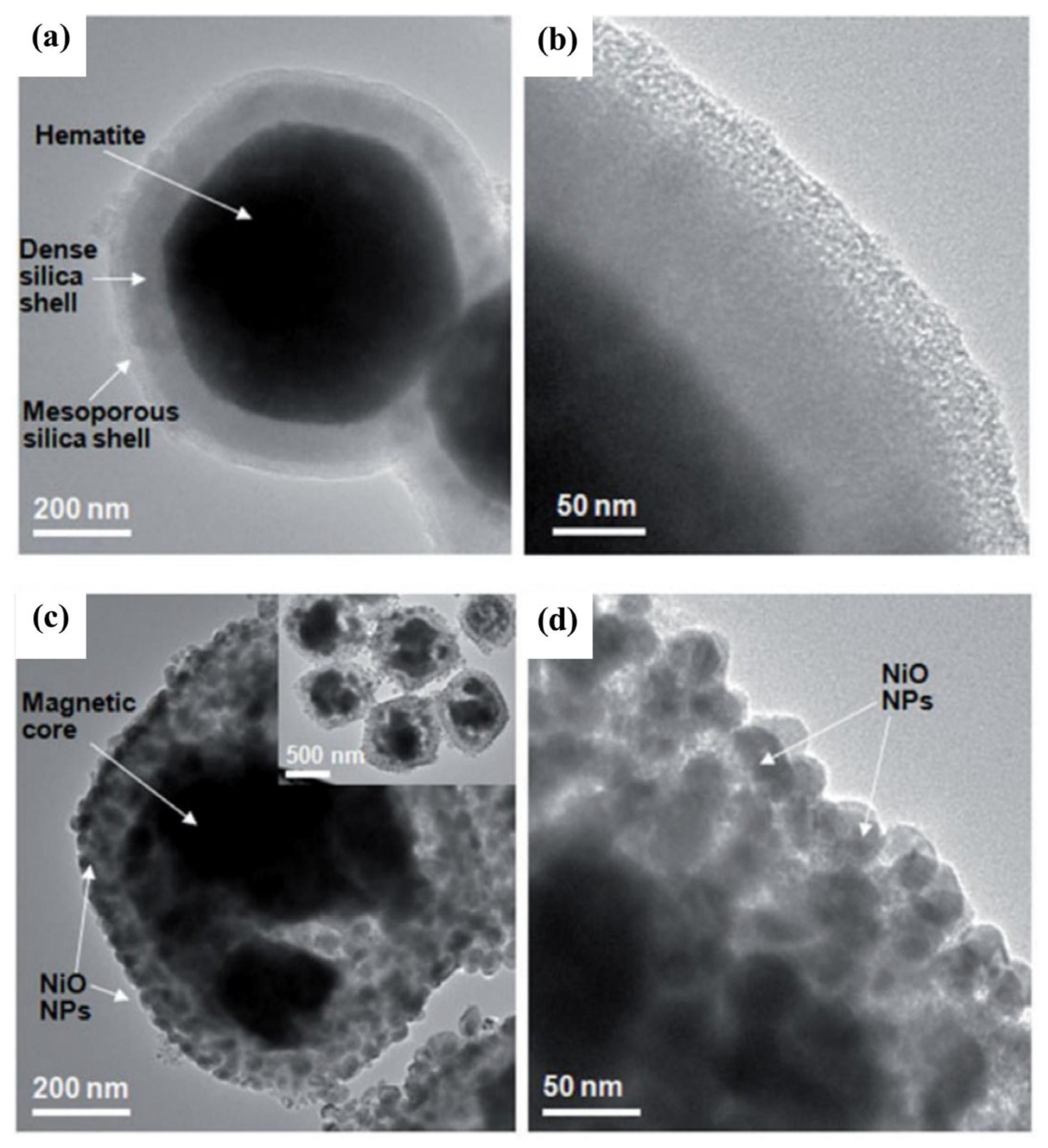 Separations 11 00130 g013 Separations 11 00130 g013