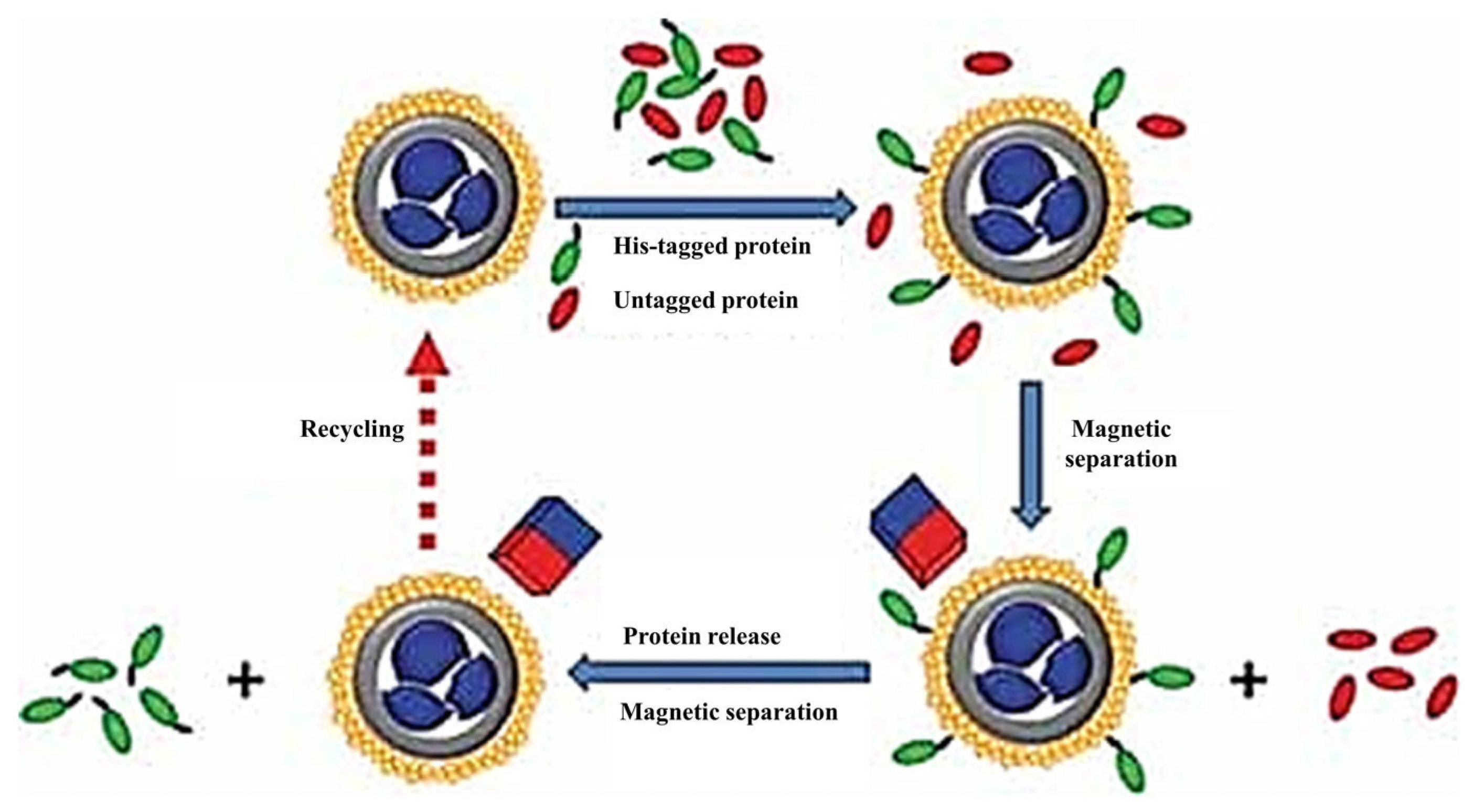 Separations 11 00130 g014 Separations 11 00130 g014