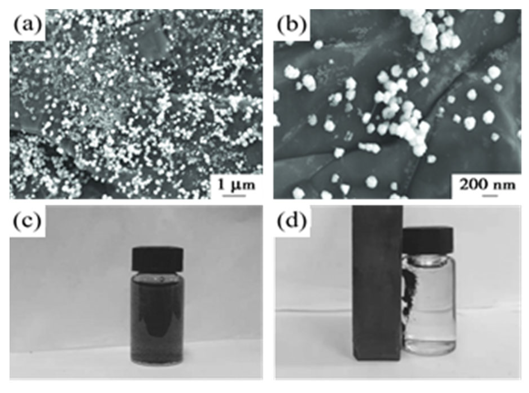 Separations 11 00130 g016 Separations 11 00130 g016