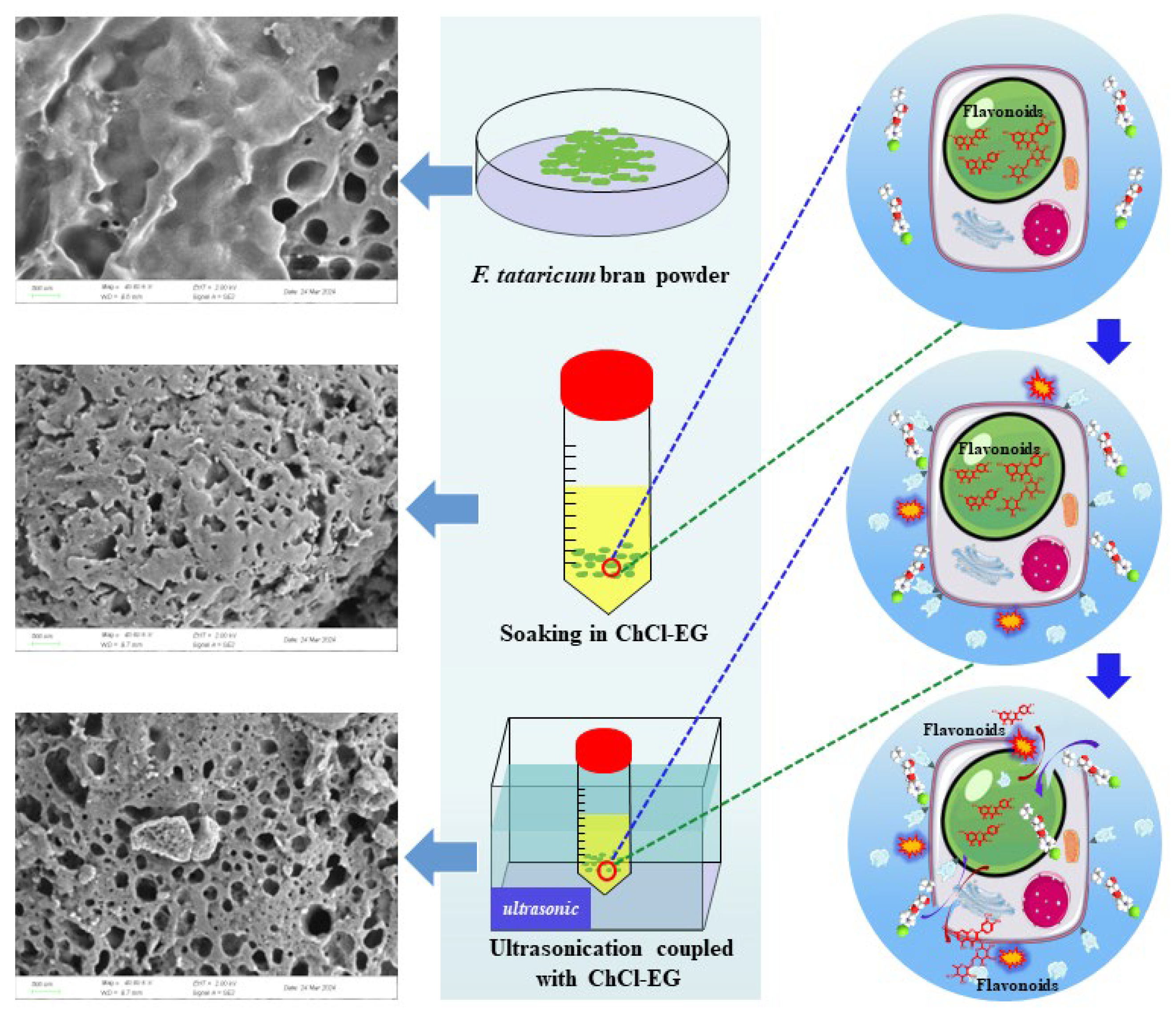 Separations 11 00145 g006