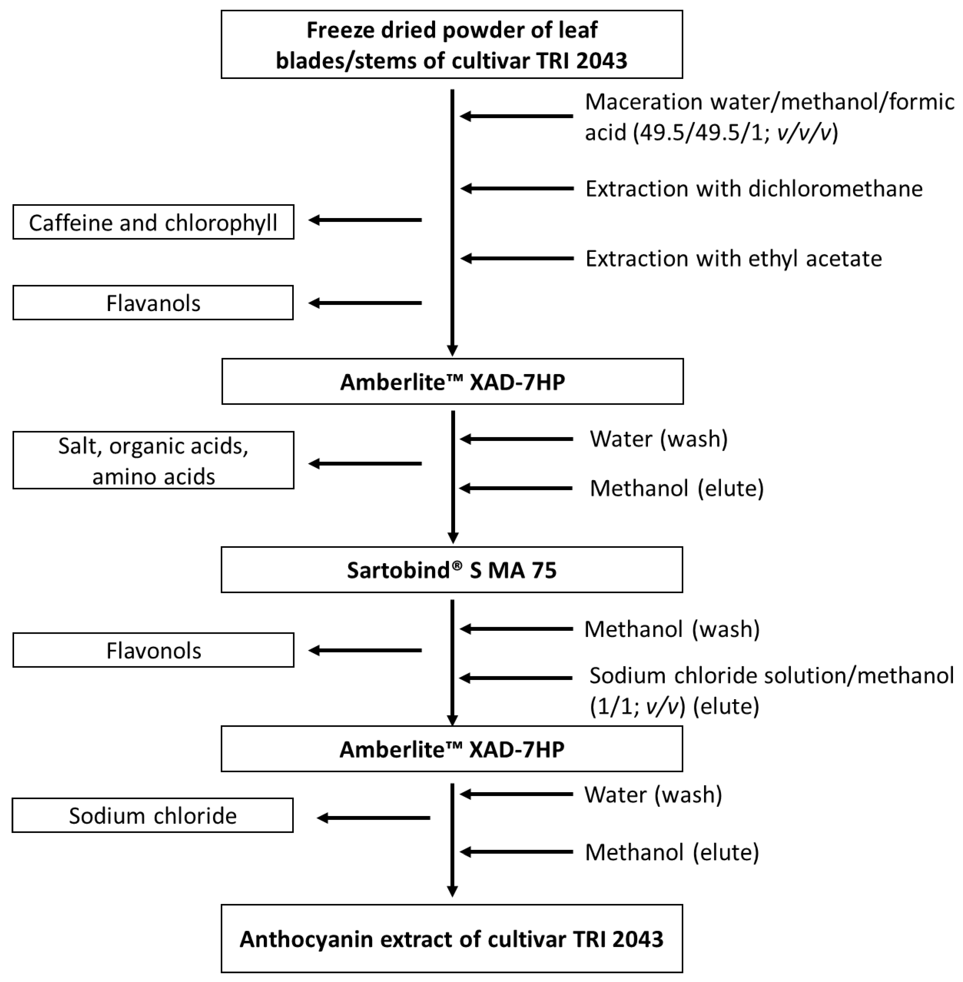 Separations 11 00157 g002